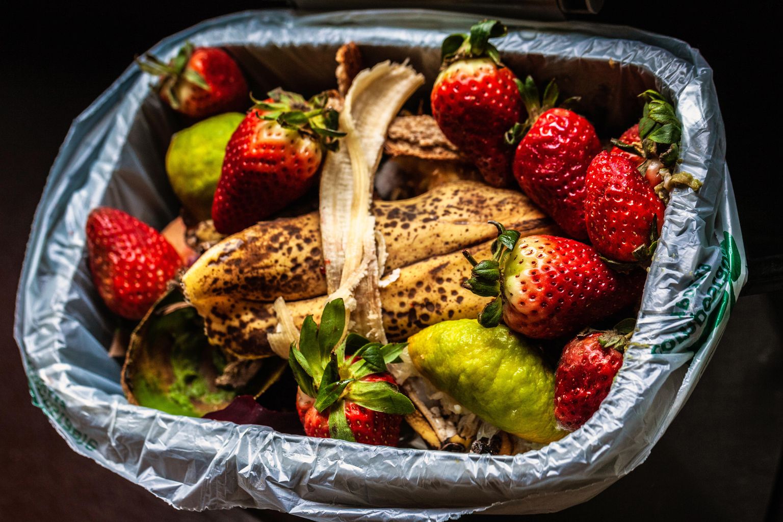 Date set for Wiltshire food waste collection service to begin