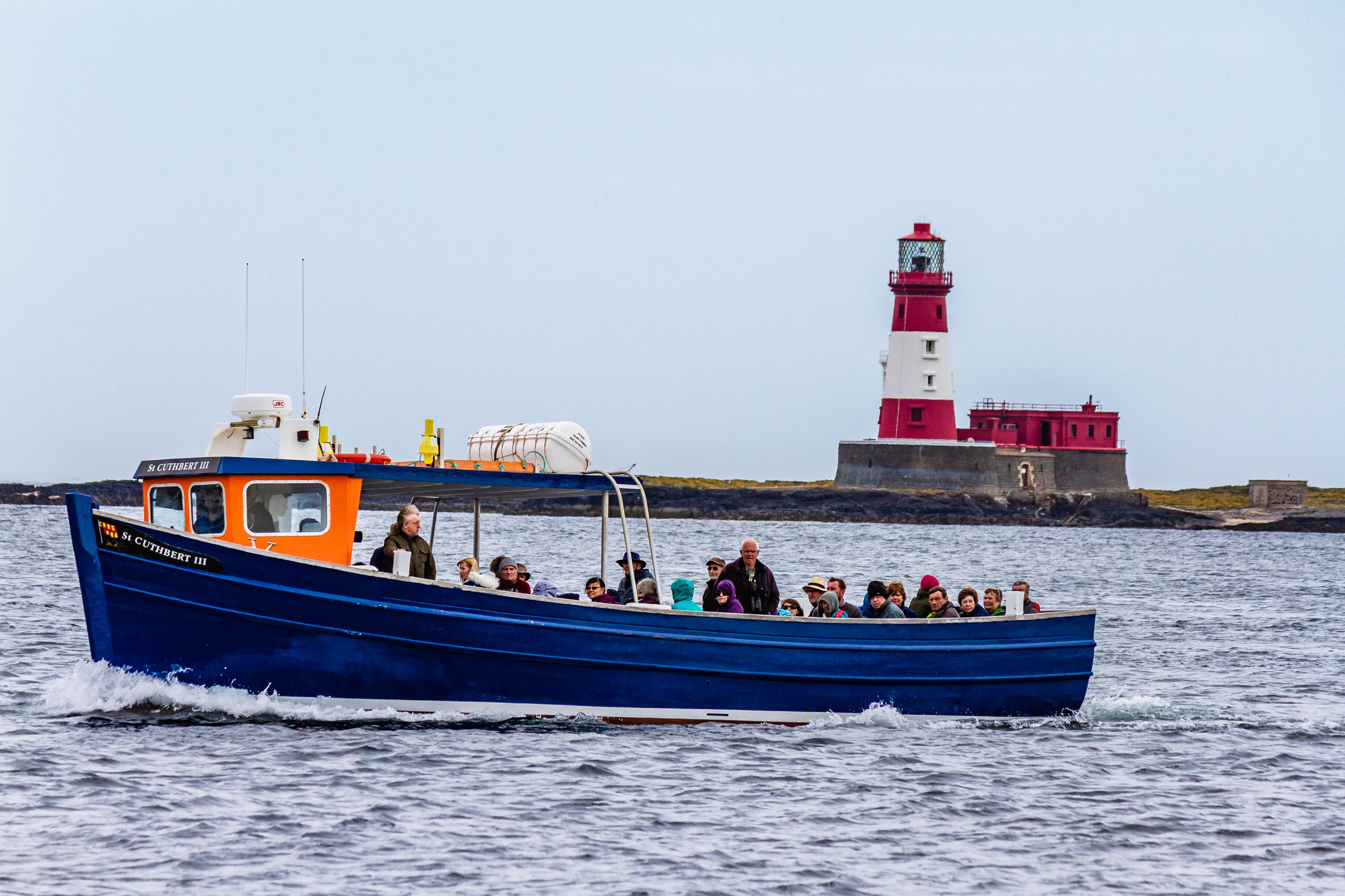 Farne Islands set to reopen to visitors following bird flu outbreak ...