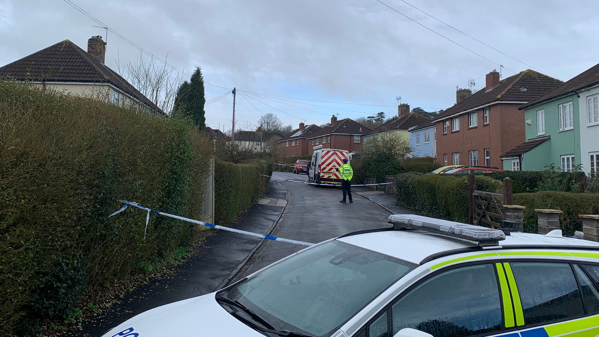 Sea Mills: inquest hears three children died of stab wounds