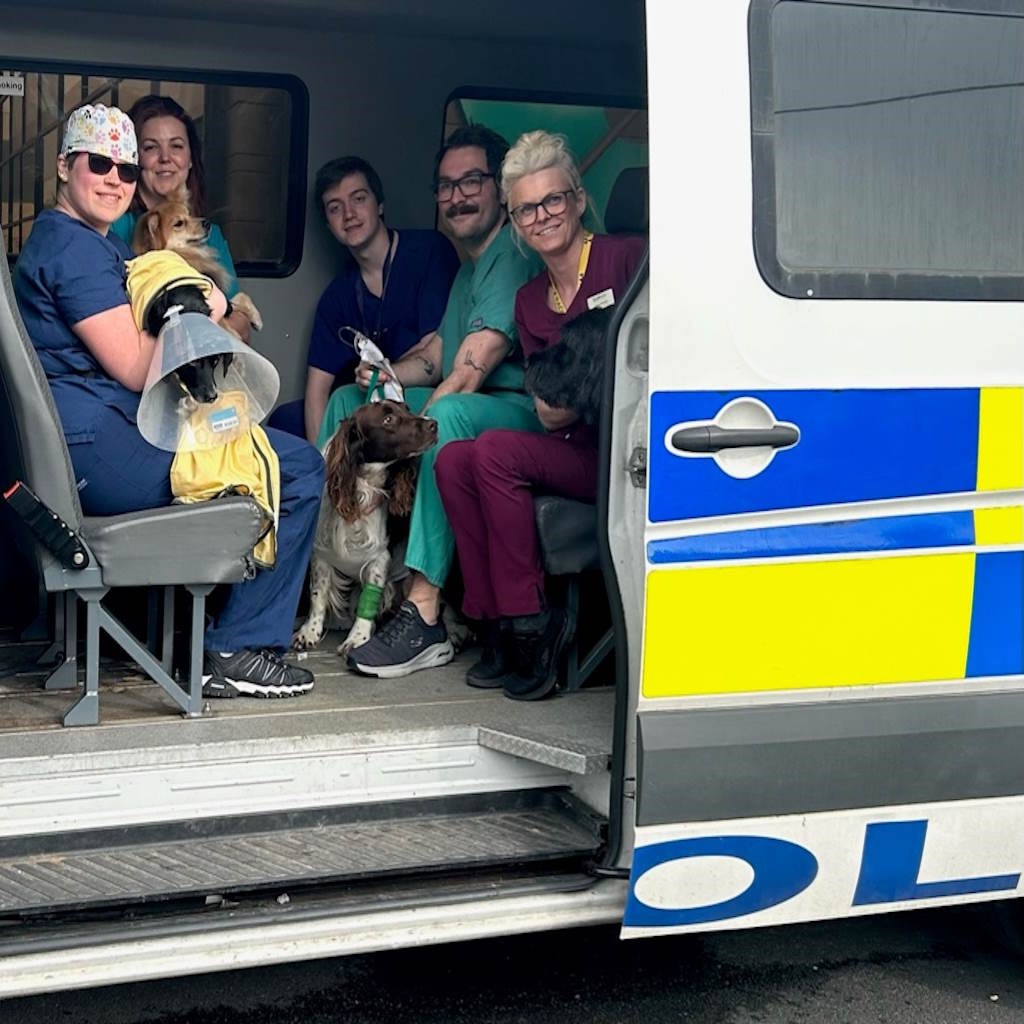 Essex Police save dozens of animals after fire breaks out next door