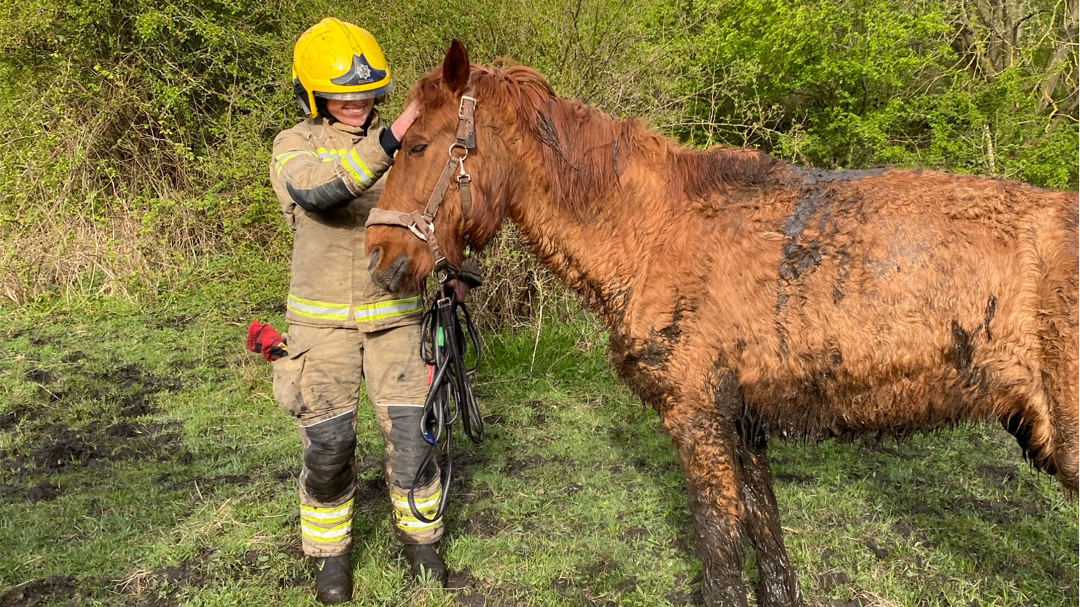 Firefighters rescue horse stuck in the mud in County Durham