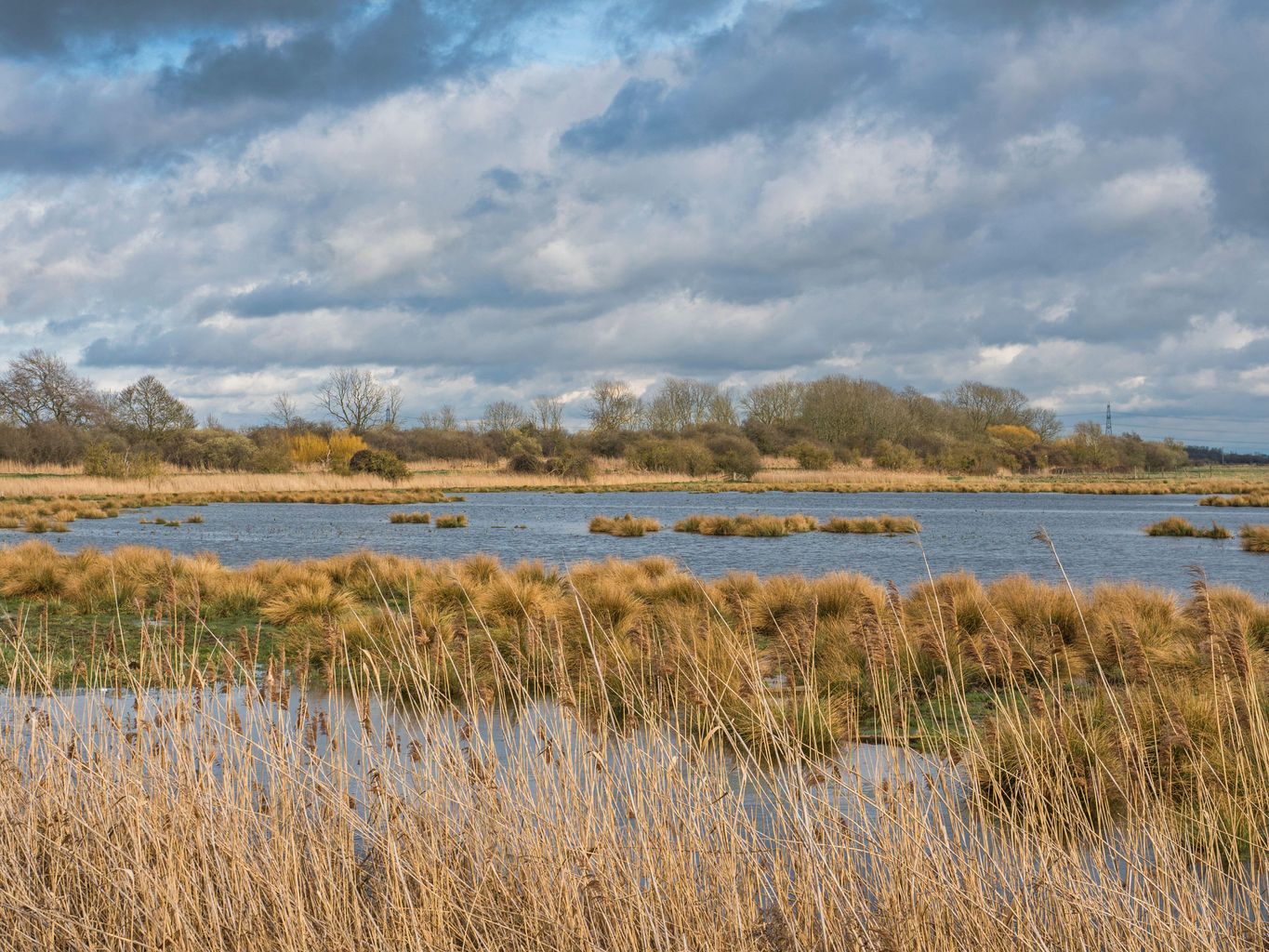 National Trust Wicken Fen peat project