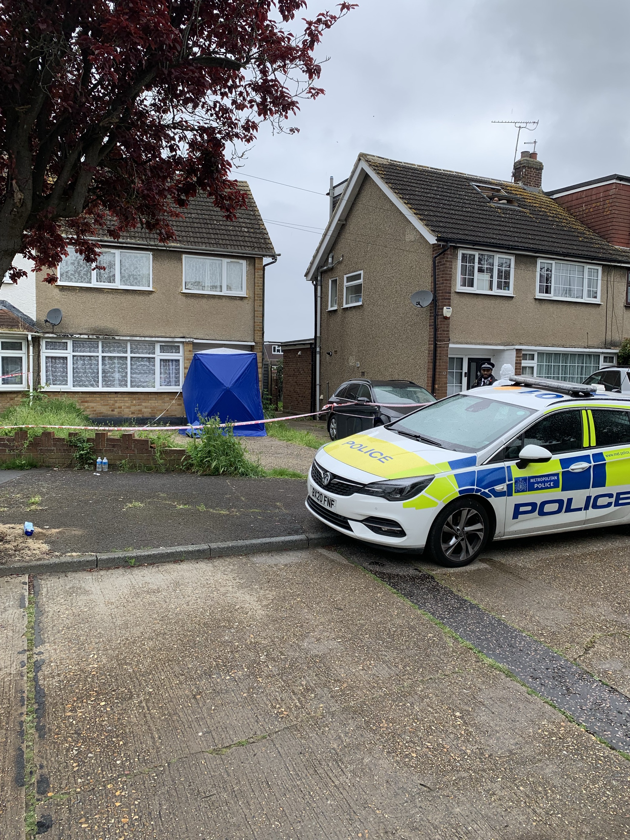 Woman killed by her two registered XL Bully dogs in east London