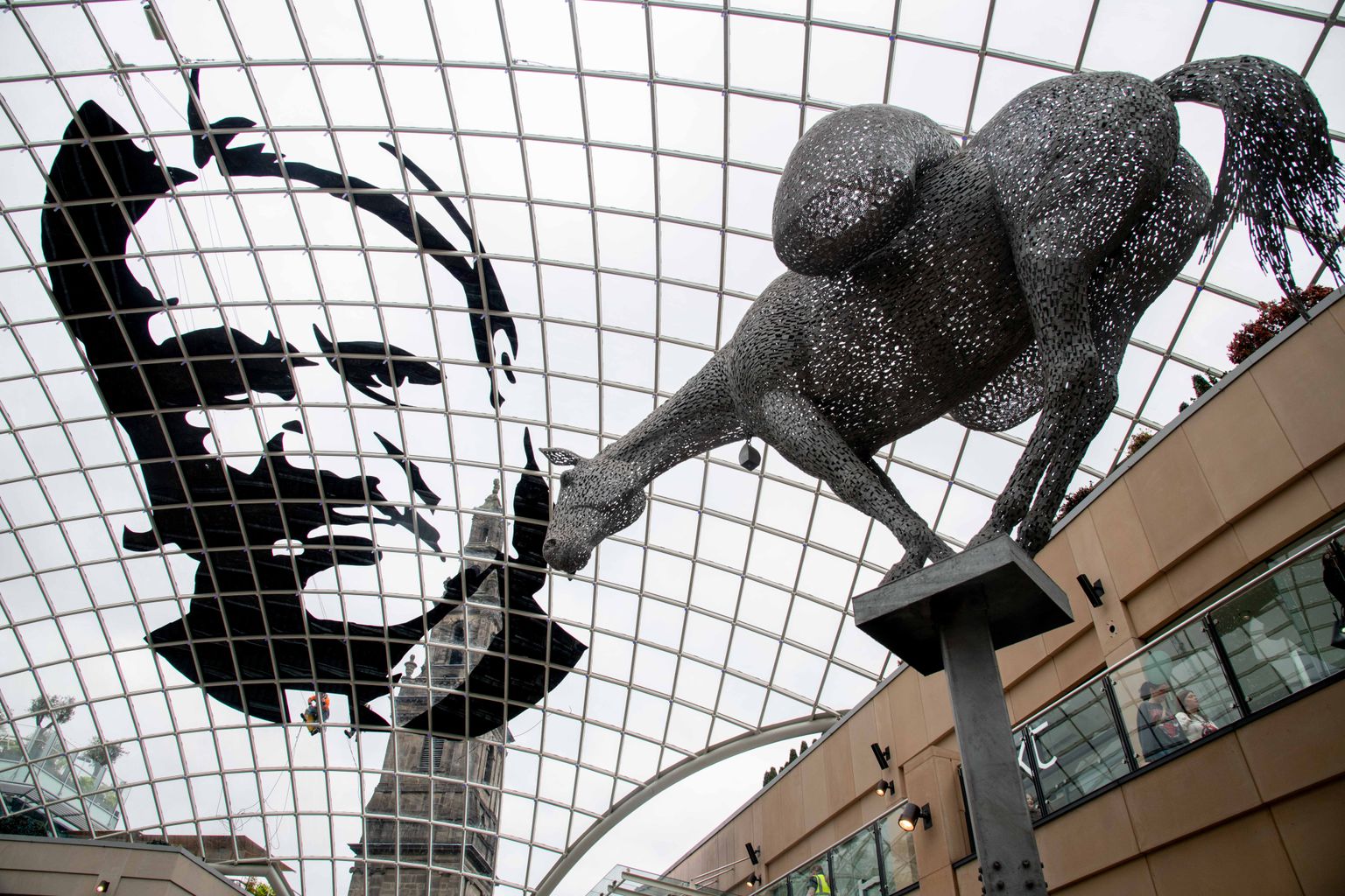 Giant portrait of Leeds manager unveiled on shopping centre roof