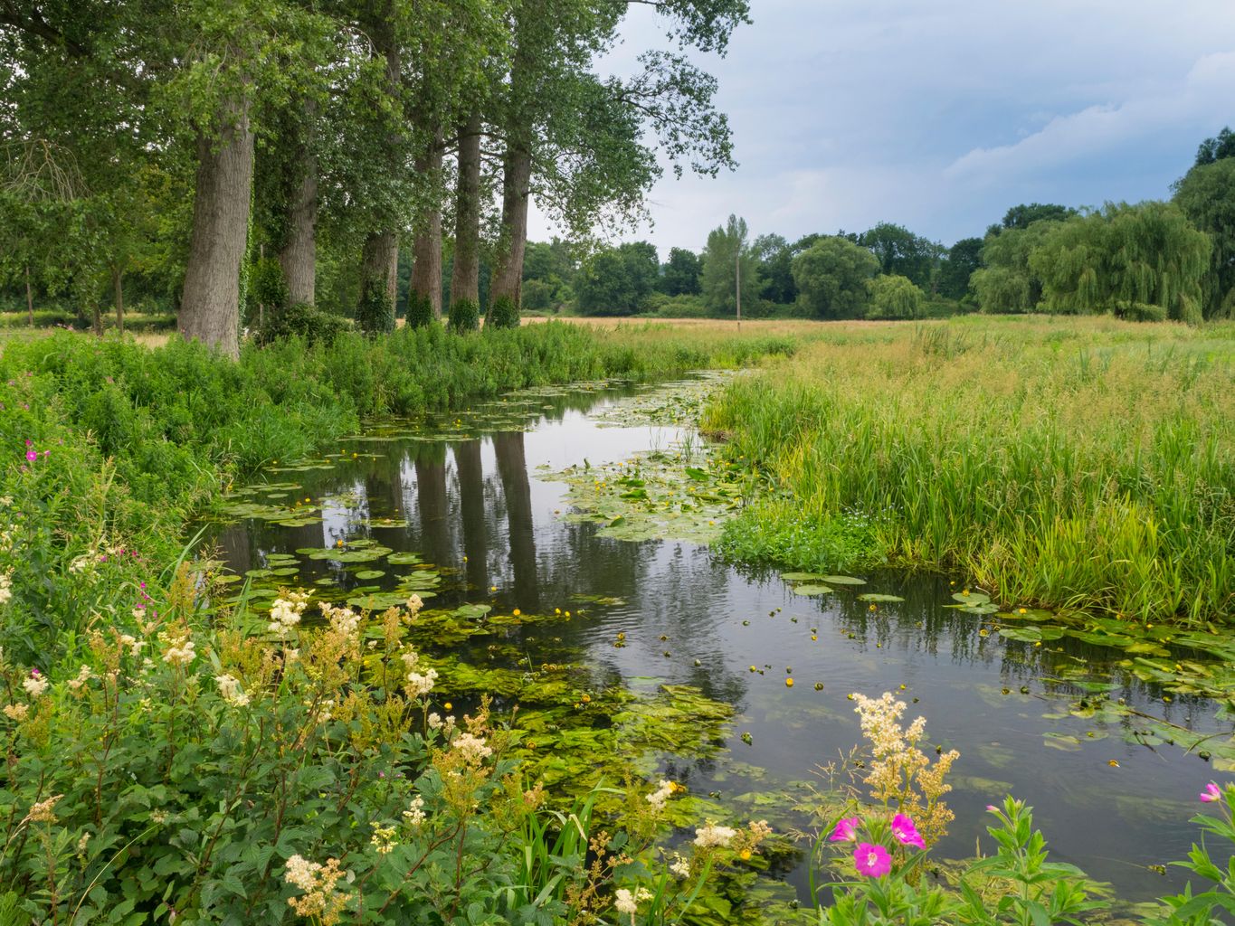 Norfolk environmentalist says next Government must take urgent action ...