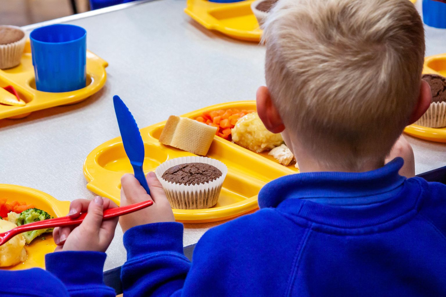 Primary teachers seeing more hungry children at school