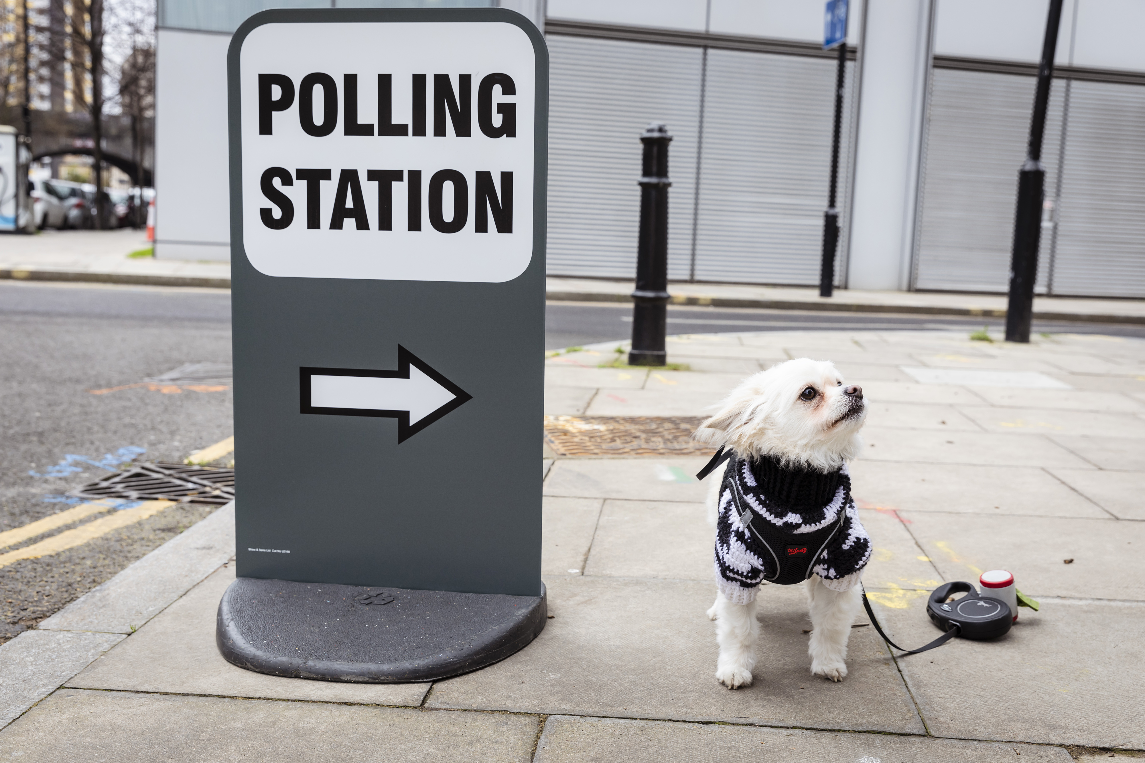 General Election: What do I need to know before voting?