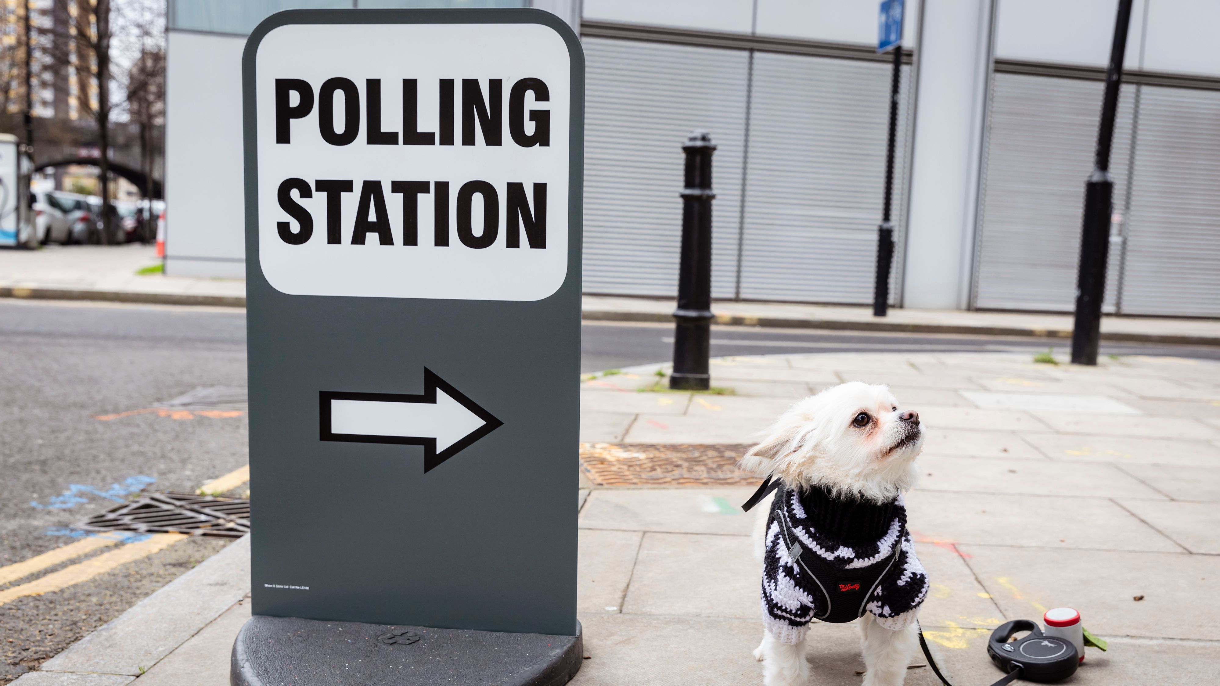 Dog Voting General Election: What do I need to know before voting?