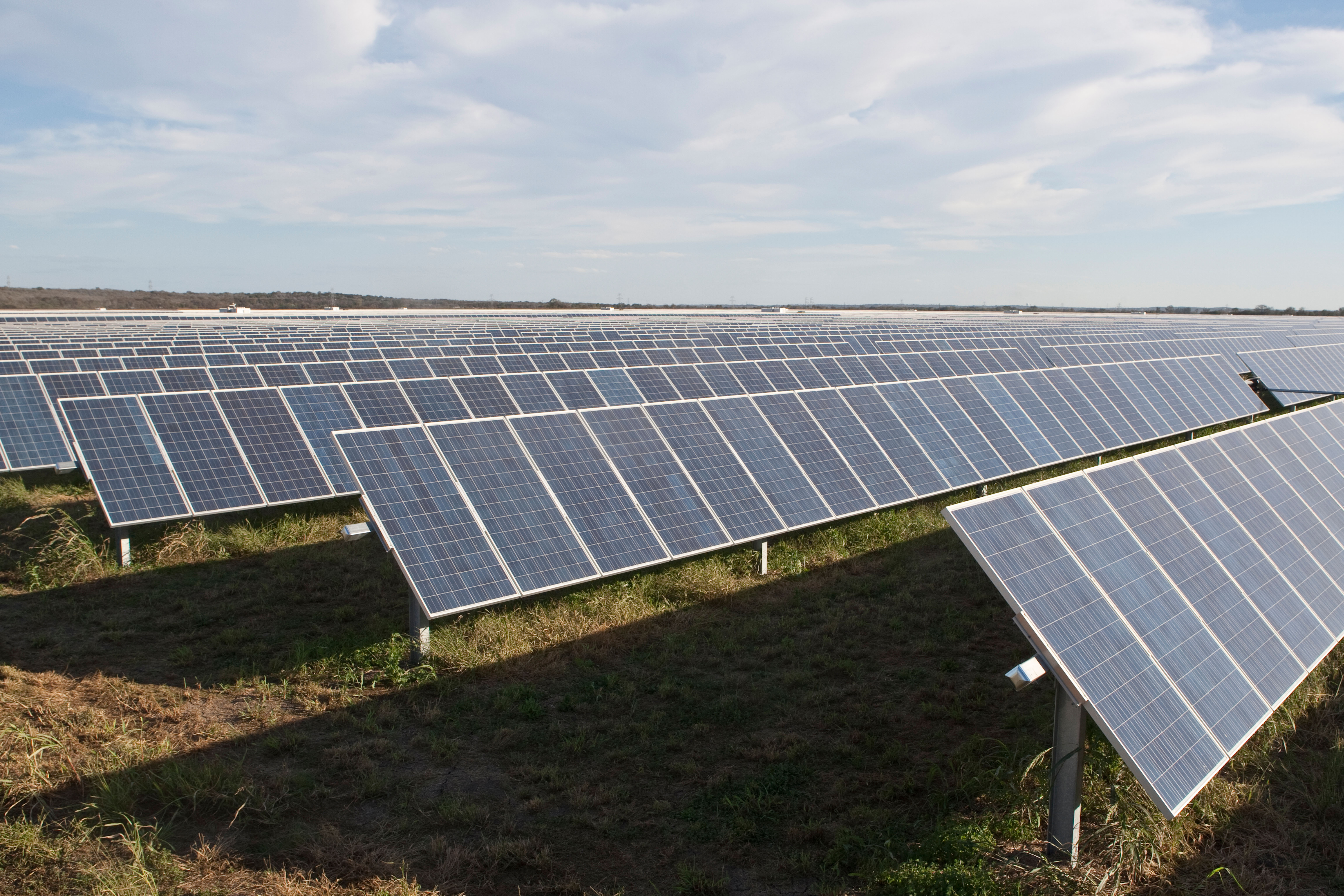 Development consent granted for huge solar farm on Cambridgeshire ...