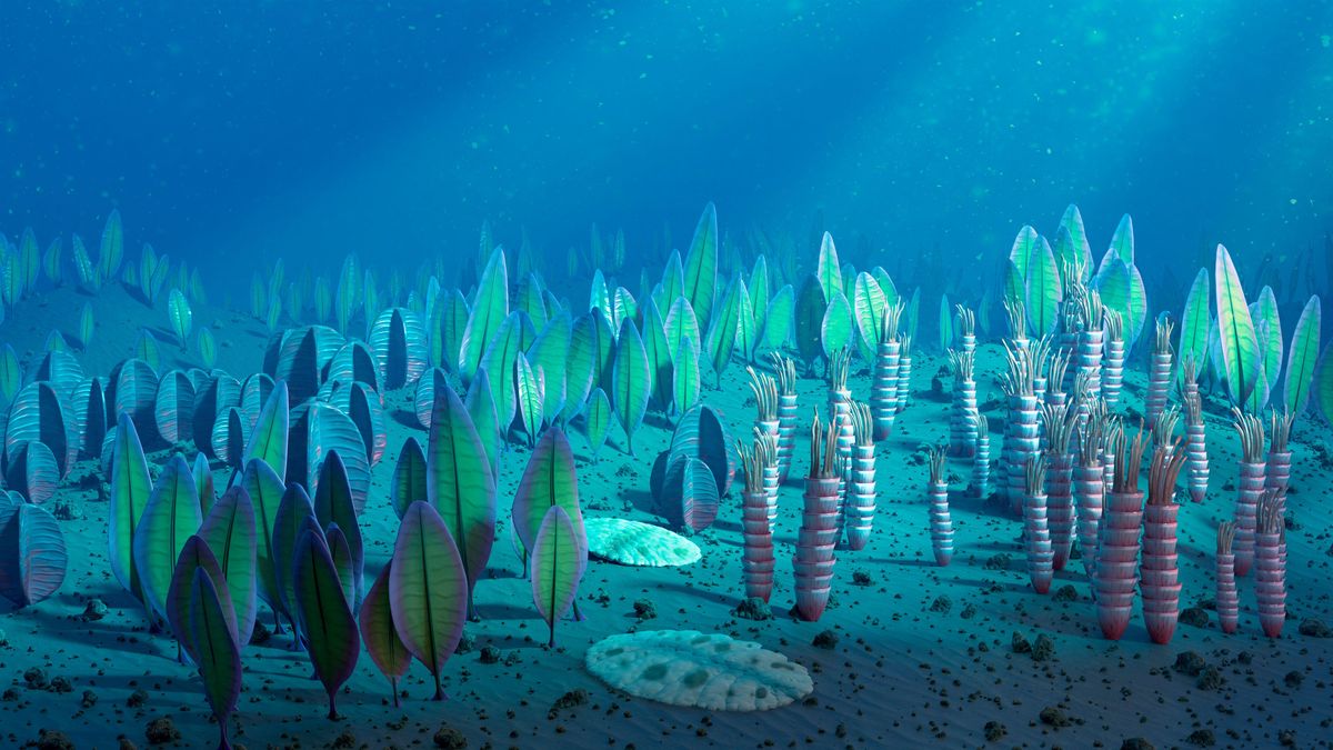 Complex Life on Earth Began 1.5 Billion Years Earlier Than Thought ...