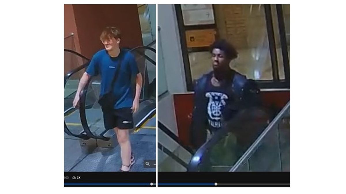 Police identify two men they want to speak to over damage to Waddle of ...