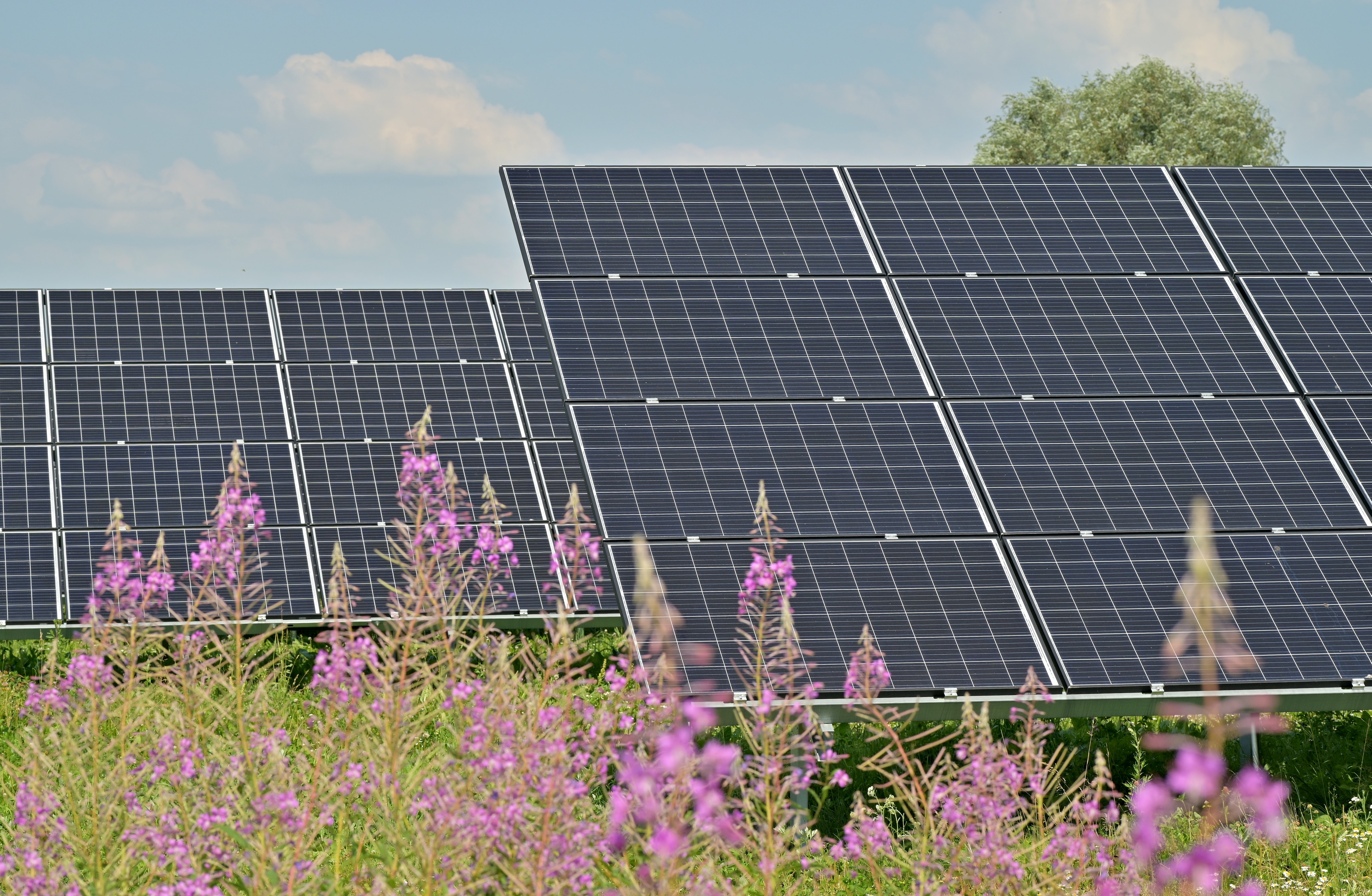 Consultation opens on updated Buckinghamshire solar farm proposals