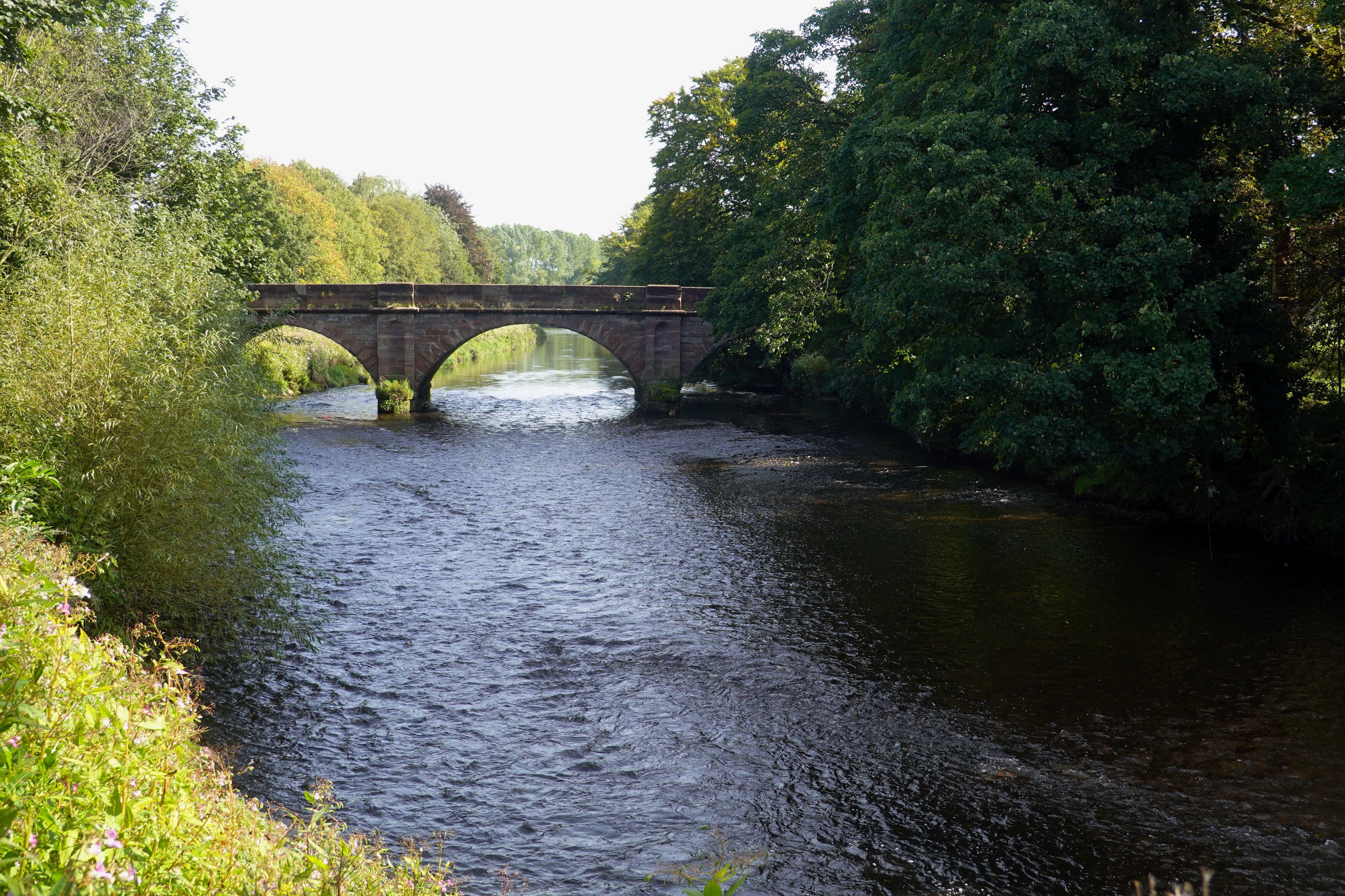River Mersey woman remains a mystery six months on