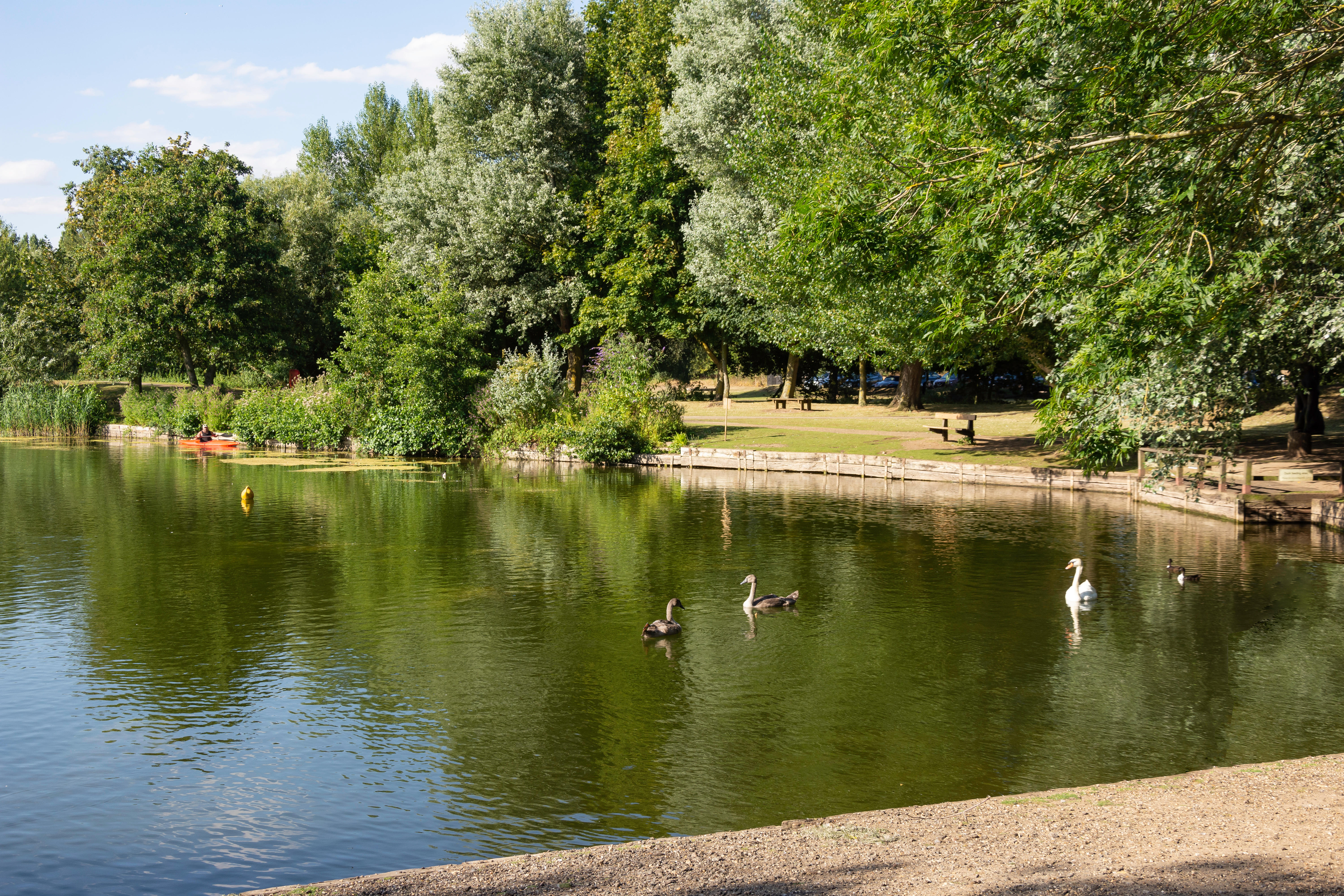 Body found in Needham Lake in the search for missing man