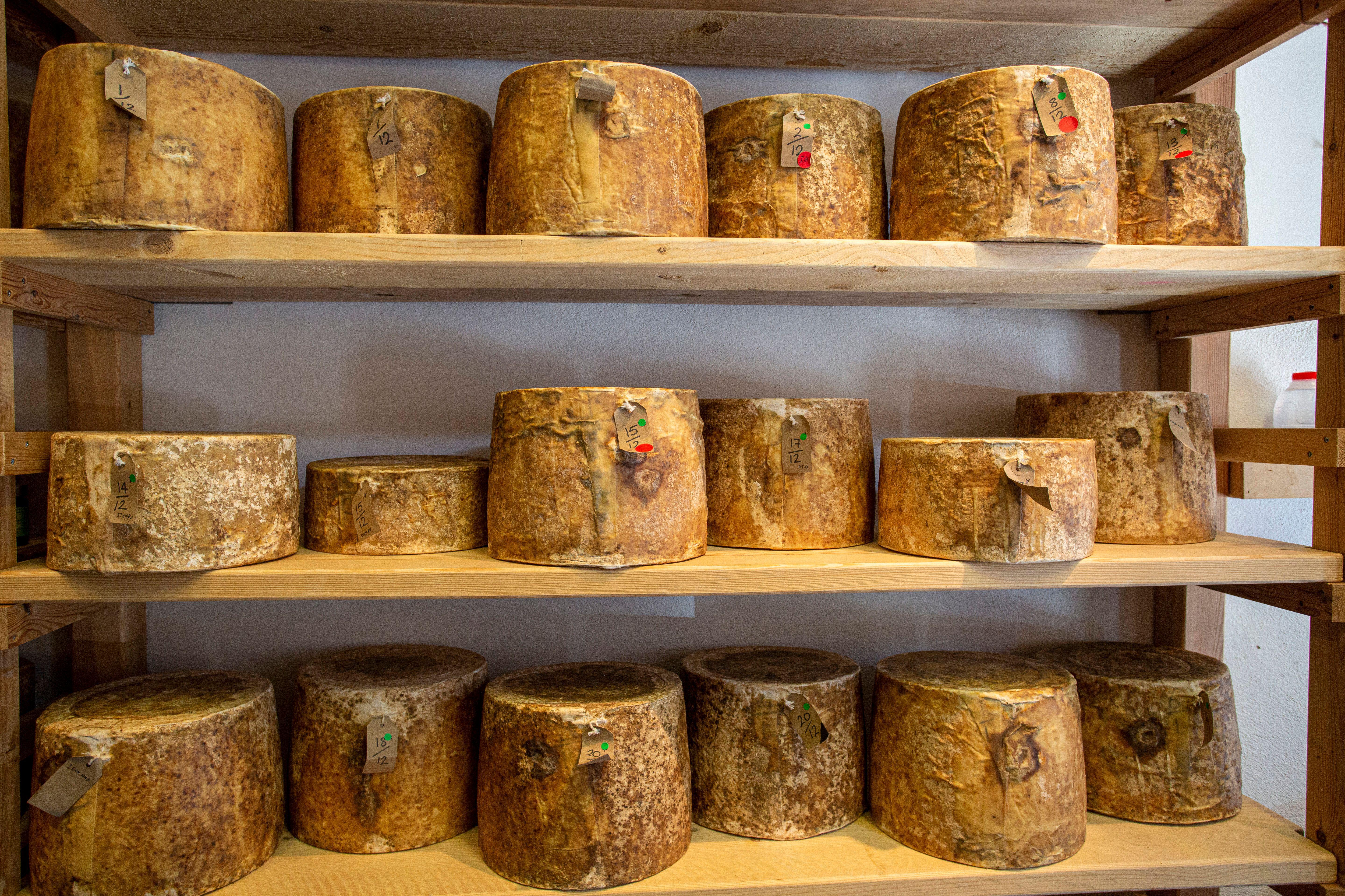 Man Arrested Over Theft Of More Than 22 Tonnes Of Cheese In London