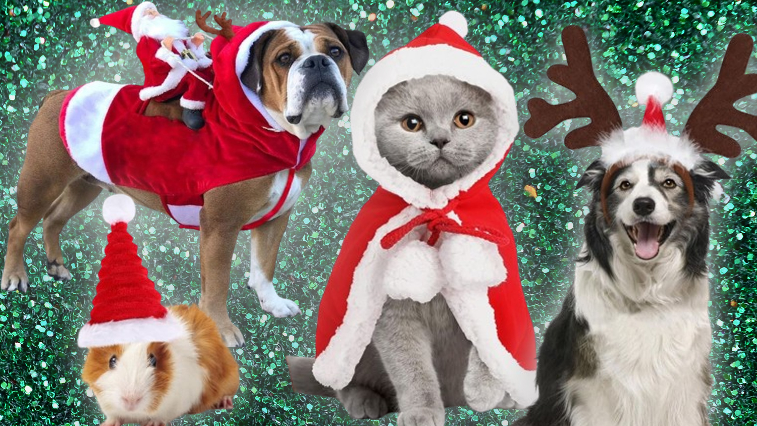 The most amazing outfits you need to buy for your pet this Christmas