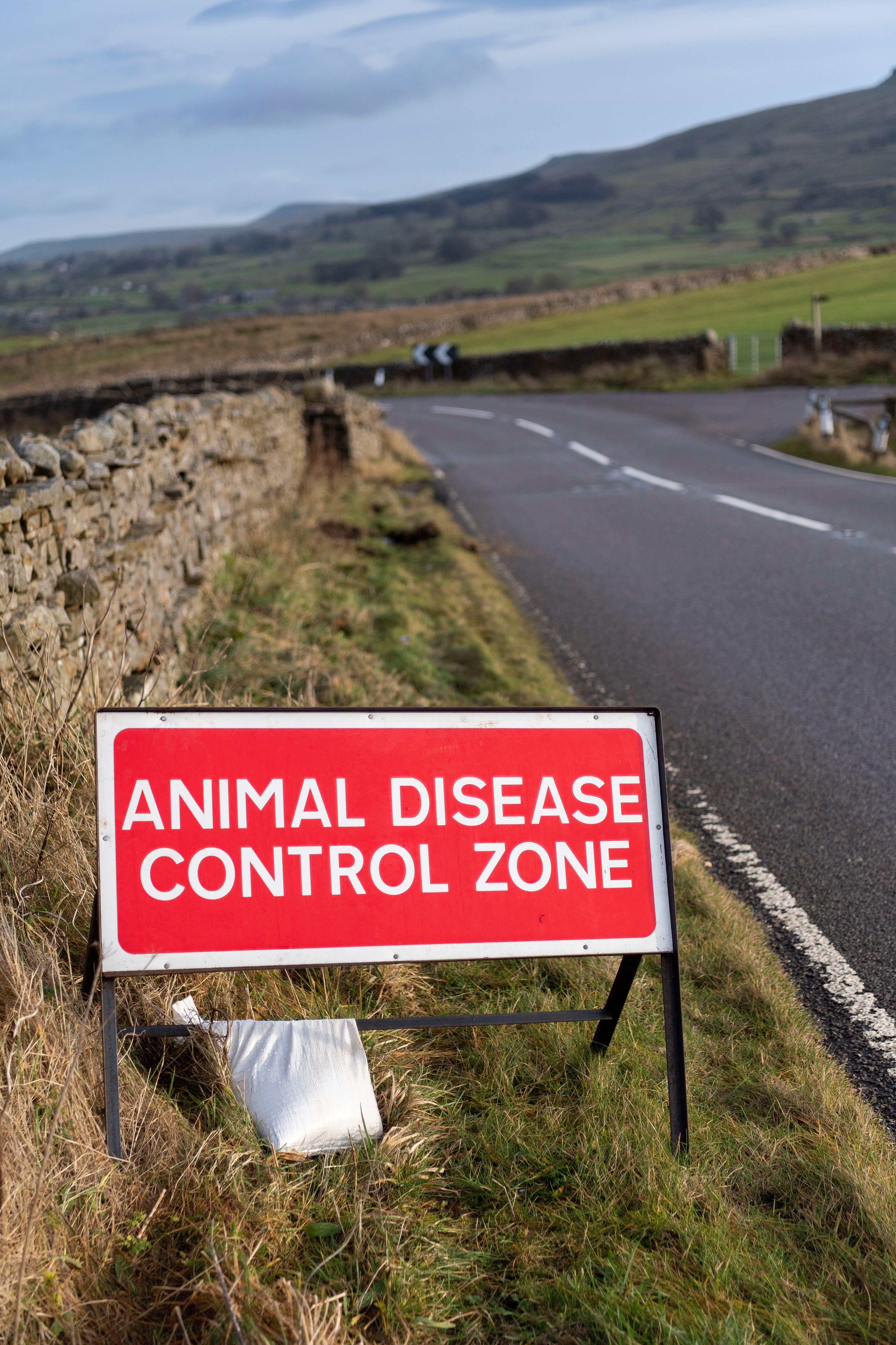 Bird flu outbreak at Beverley in East Yorkshire is confirmed