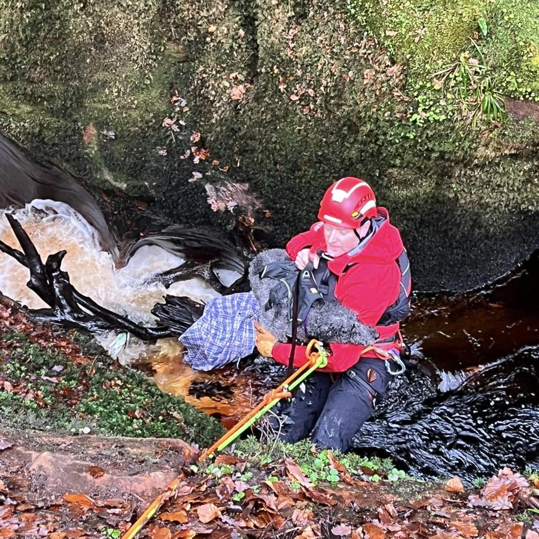 A dog has been rescued after plunging 30 metres