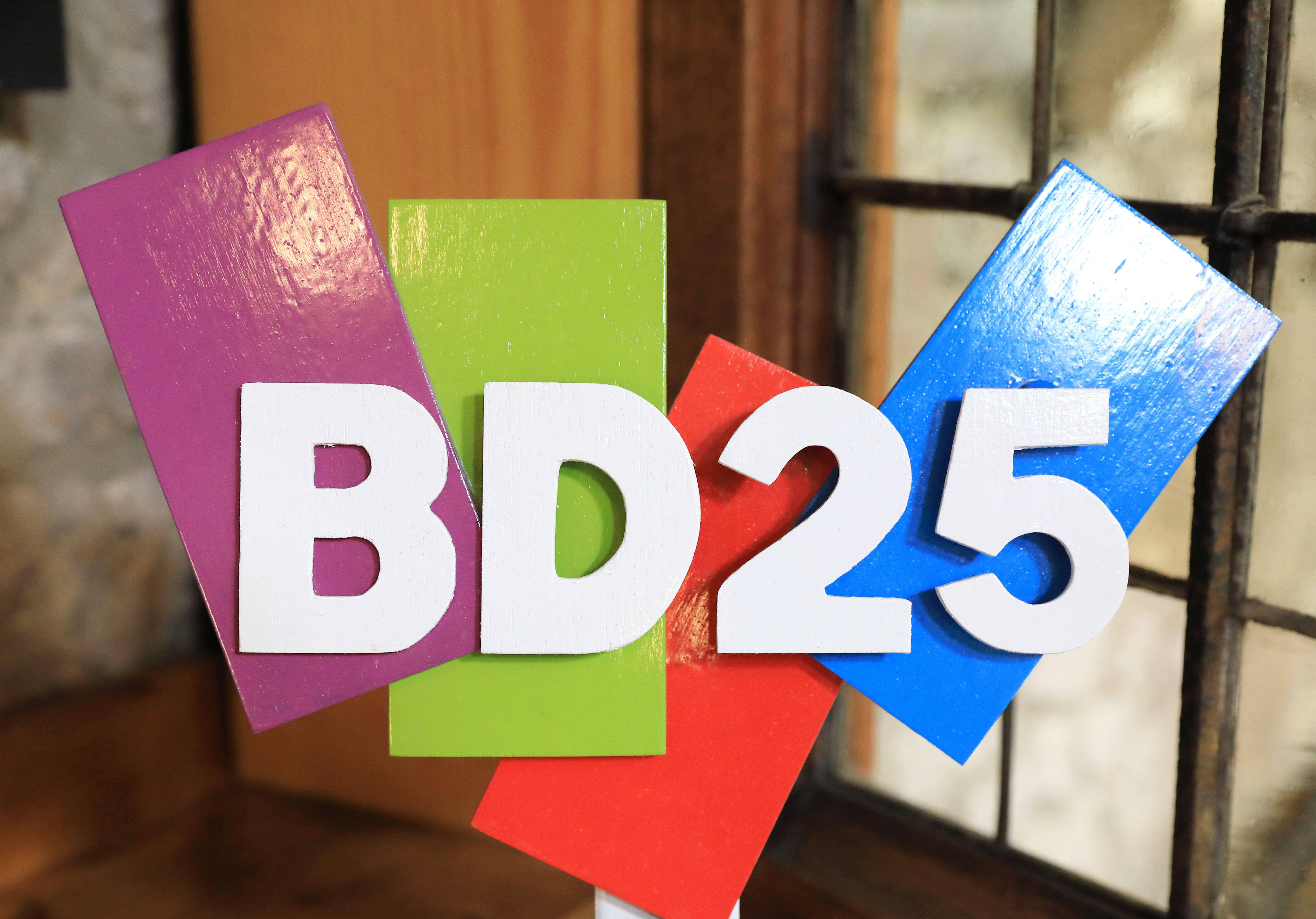 Bradford City of Culture opening event, RISE kicks start year of