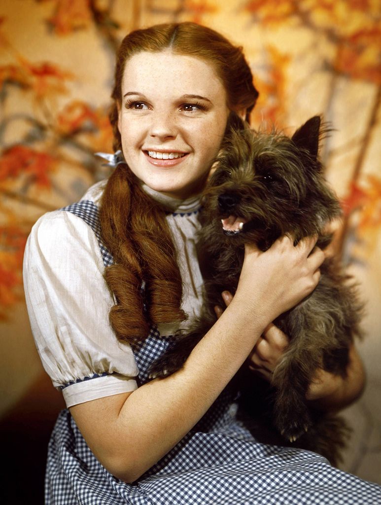 The Wizard of Oz (1939)