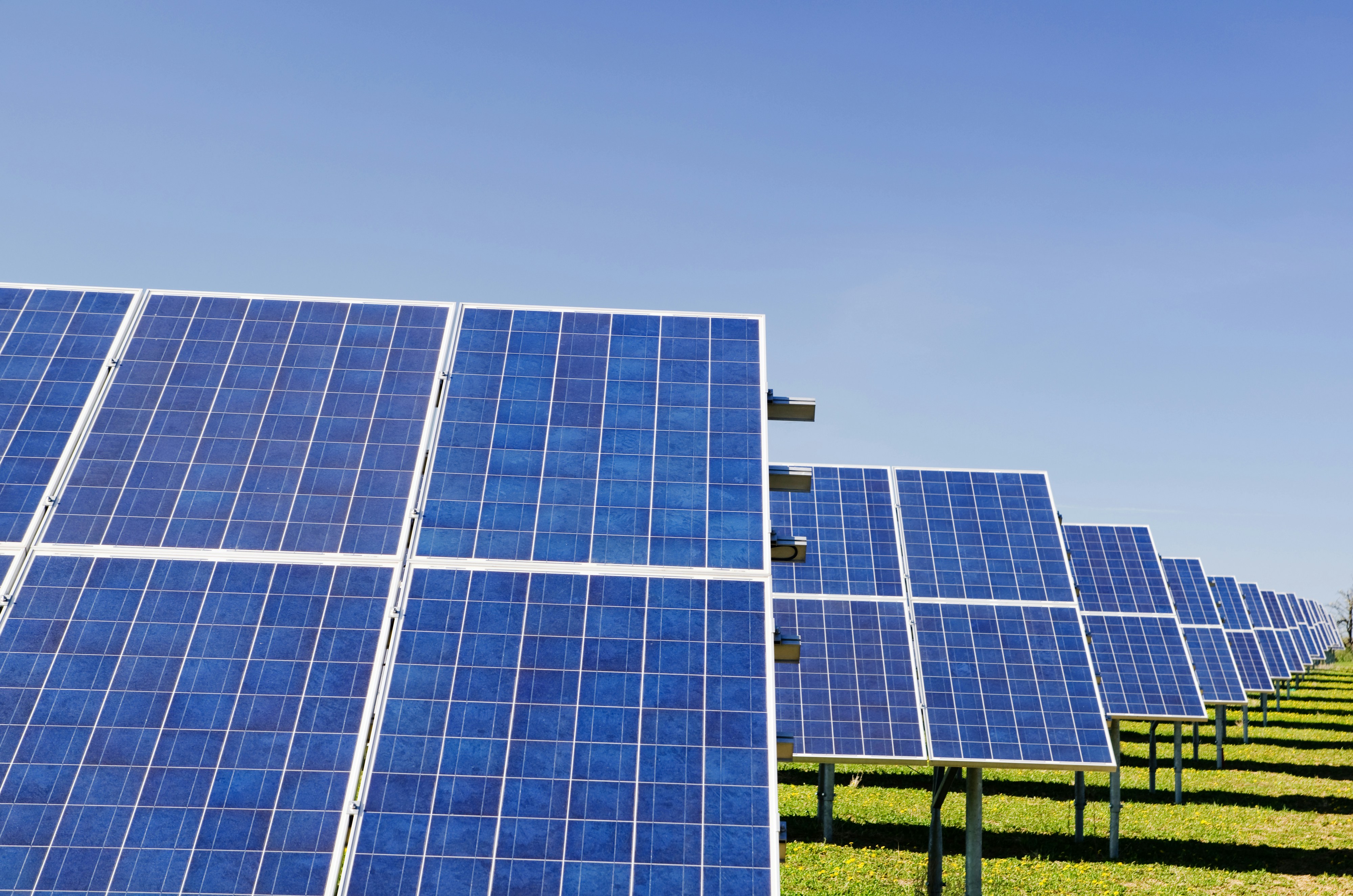 Controversial solar farm green-lit for East Suffolk