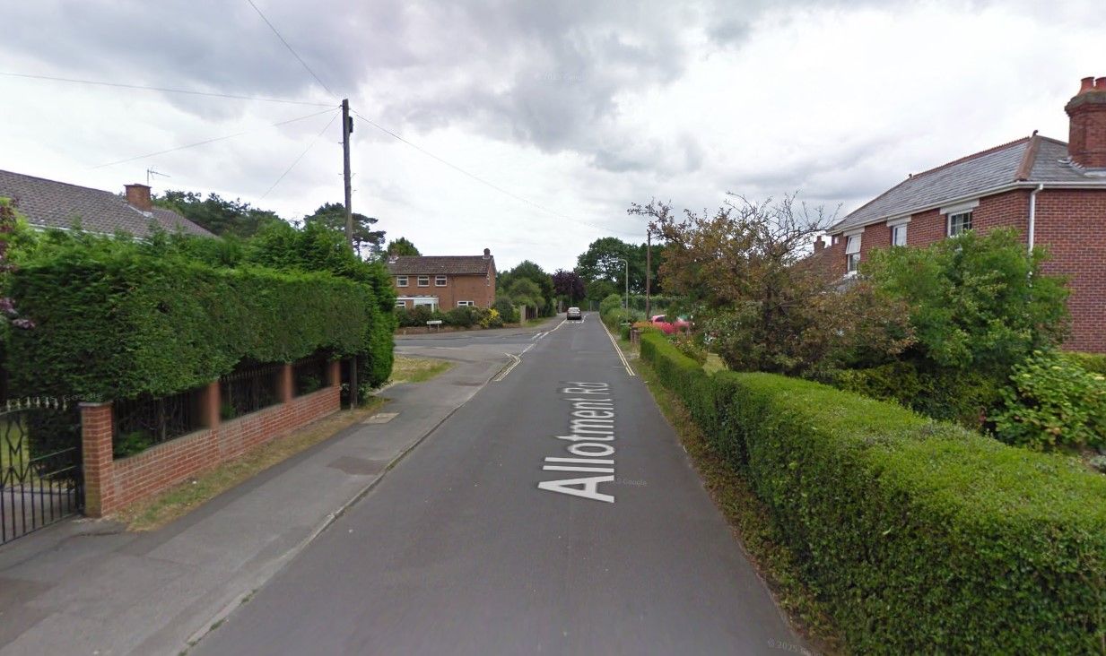 Dog killed in e-bike collision near Fareham