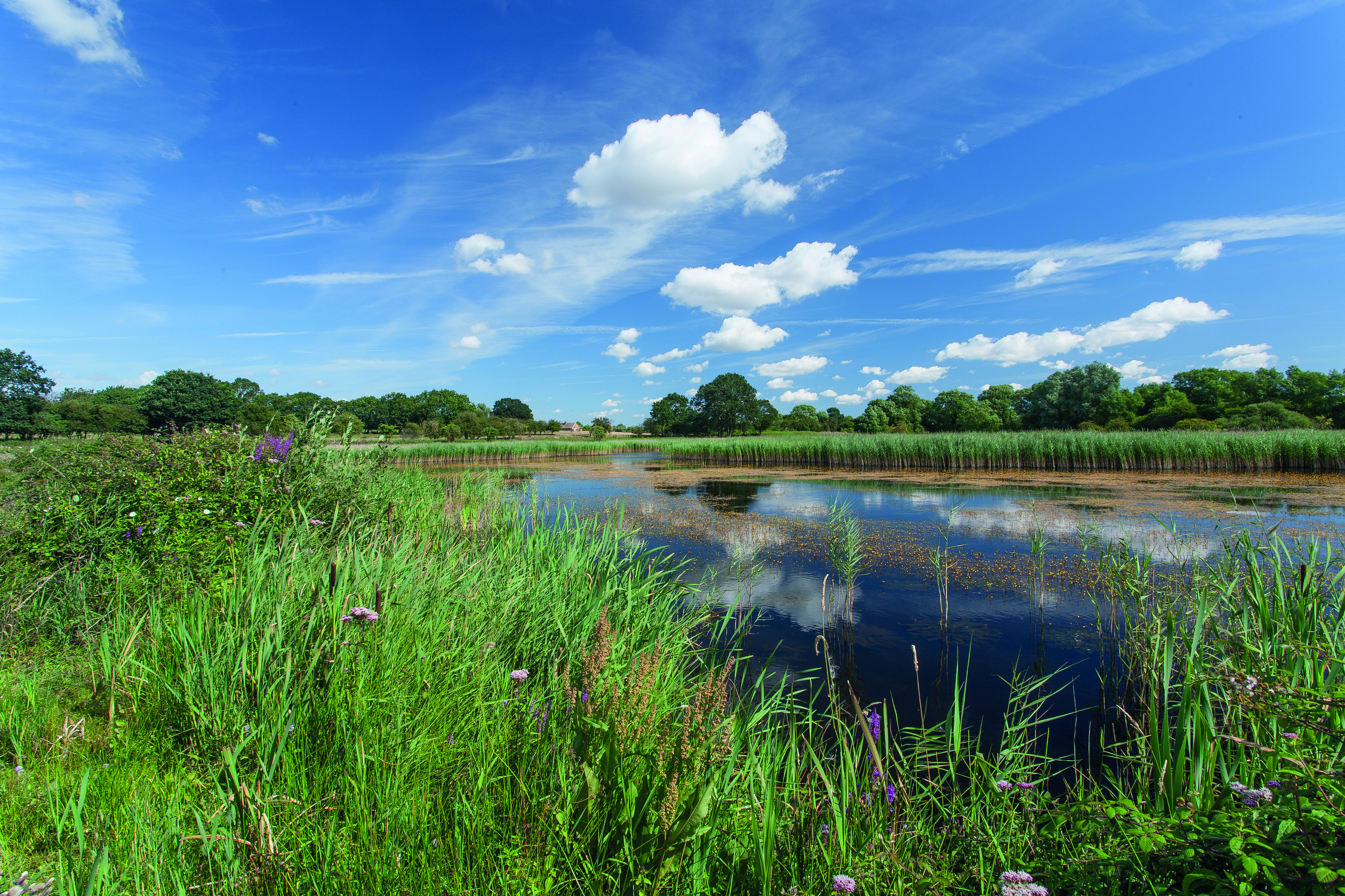 Norfolk and Suffolk river rewiggling project seeks funds