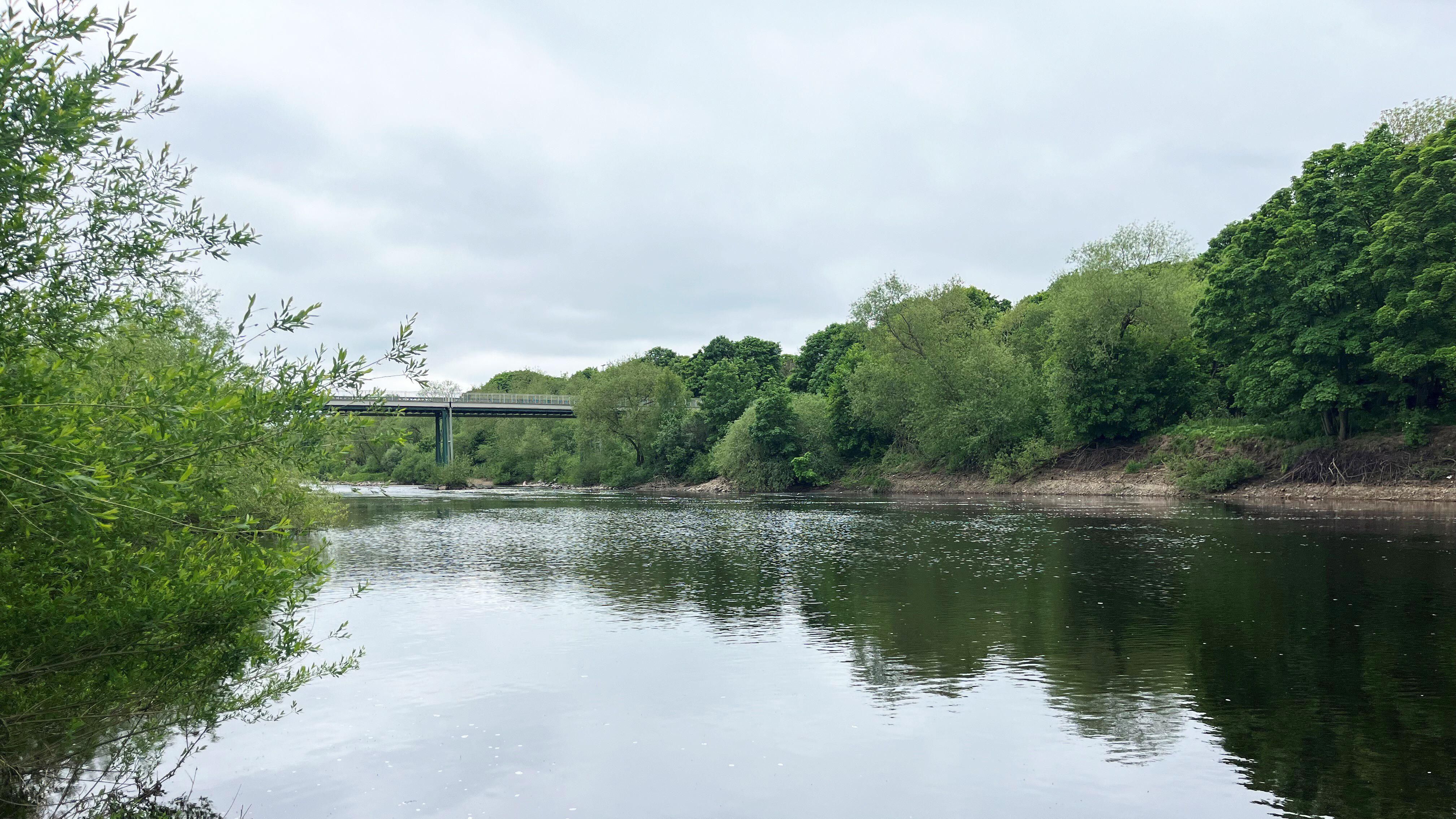 EXCLUSIVE: Newcastle mum raising awareness of water safety after death ...