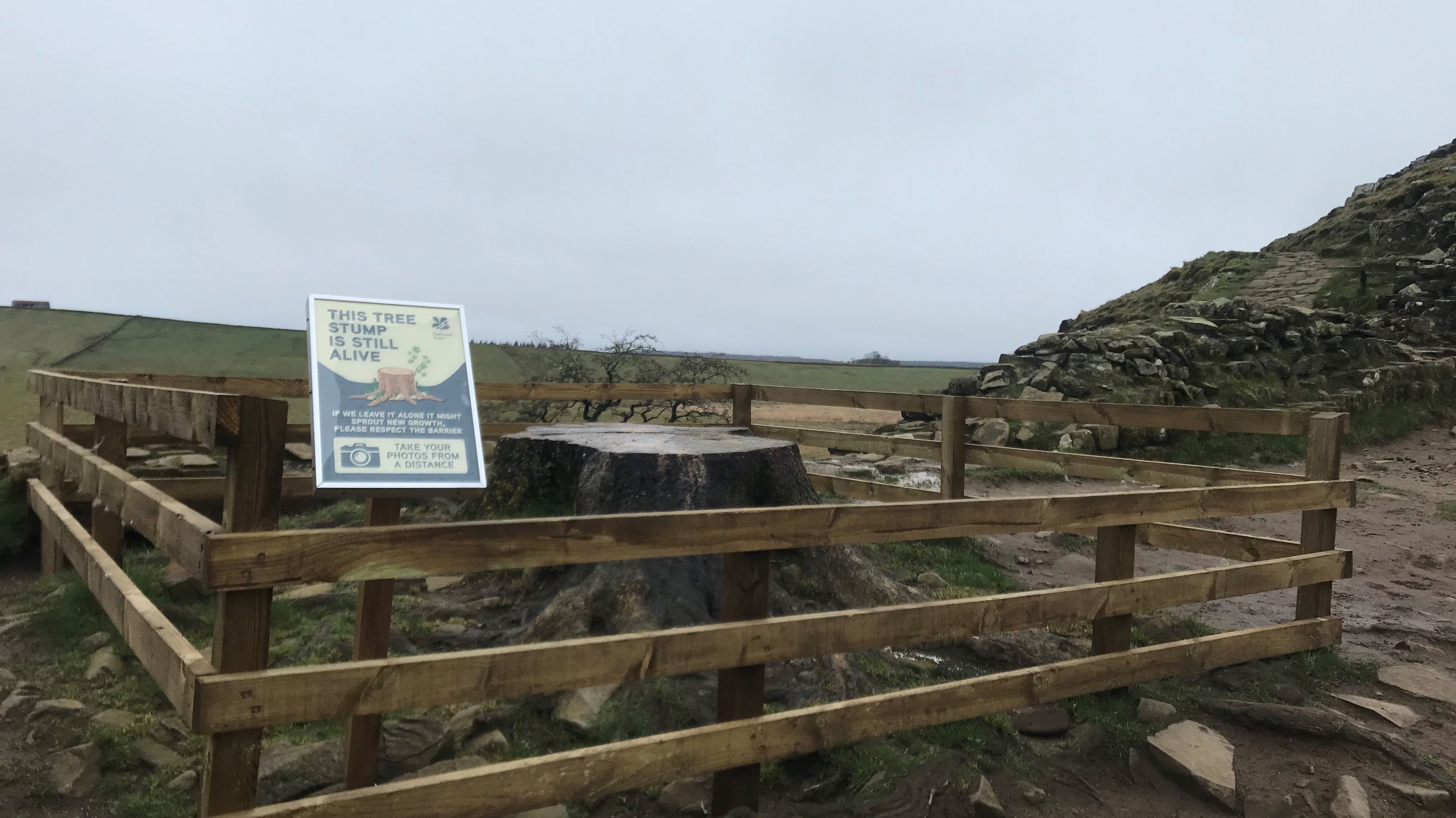 Court shown video footage of Sycamore Gap tree being cut down Court shown video footage of Sycamore Gap tree being cut down