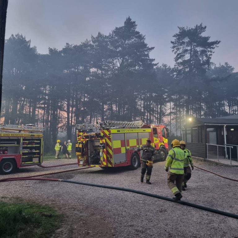 50 firefighters tackle heath and woodland fire on Hampshire Dorset border