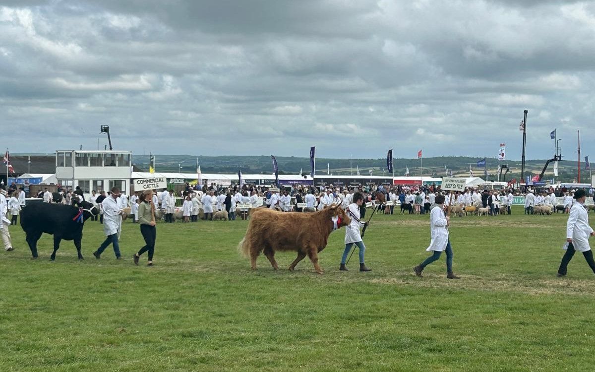 120,000 visitors expected at Royal Cornwall Show