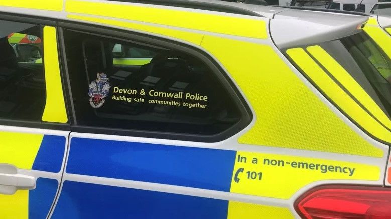 police car