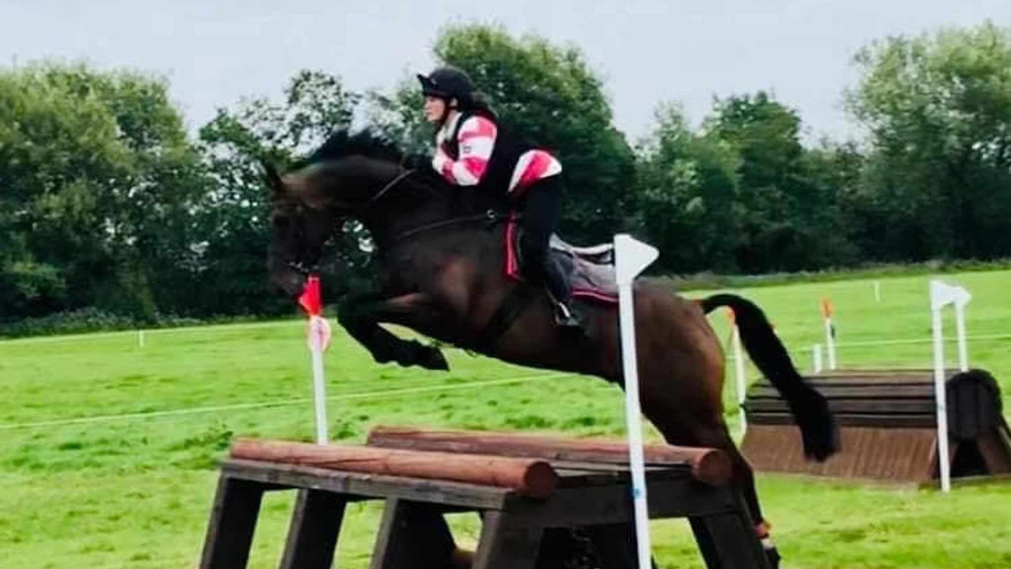 Horse rider dies after falling during a major competition | News ...