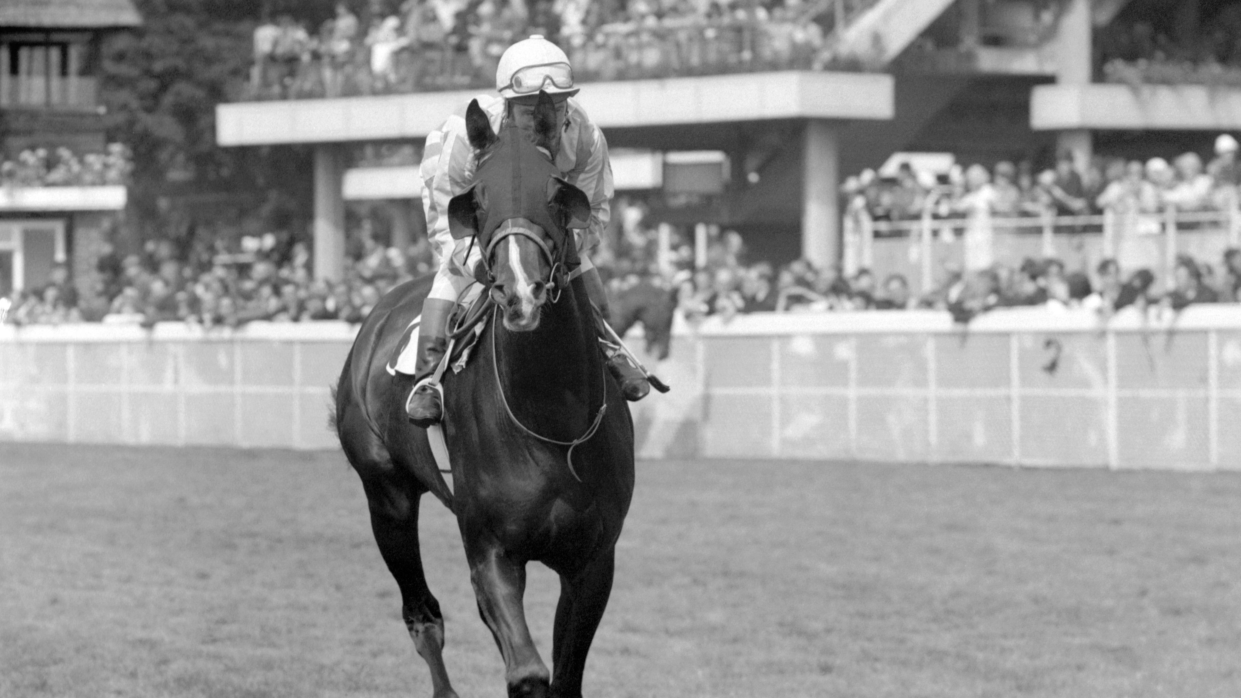 Welsh horse racing legend and Derby winner Geoff Lewis dies aged 89