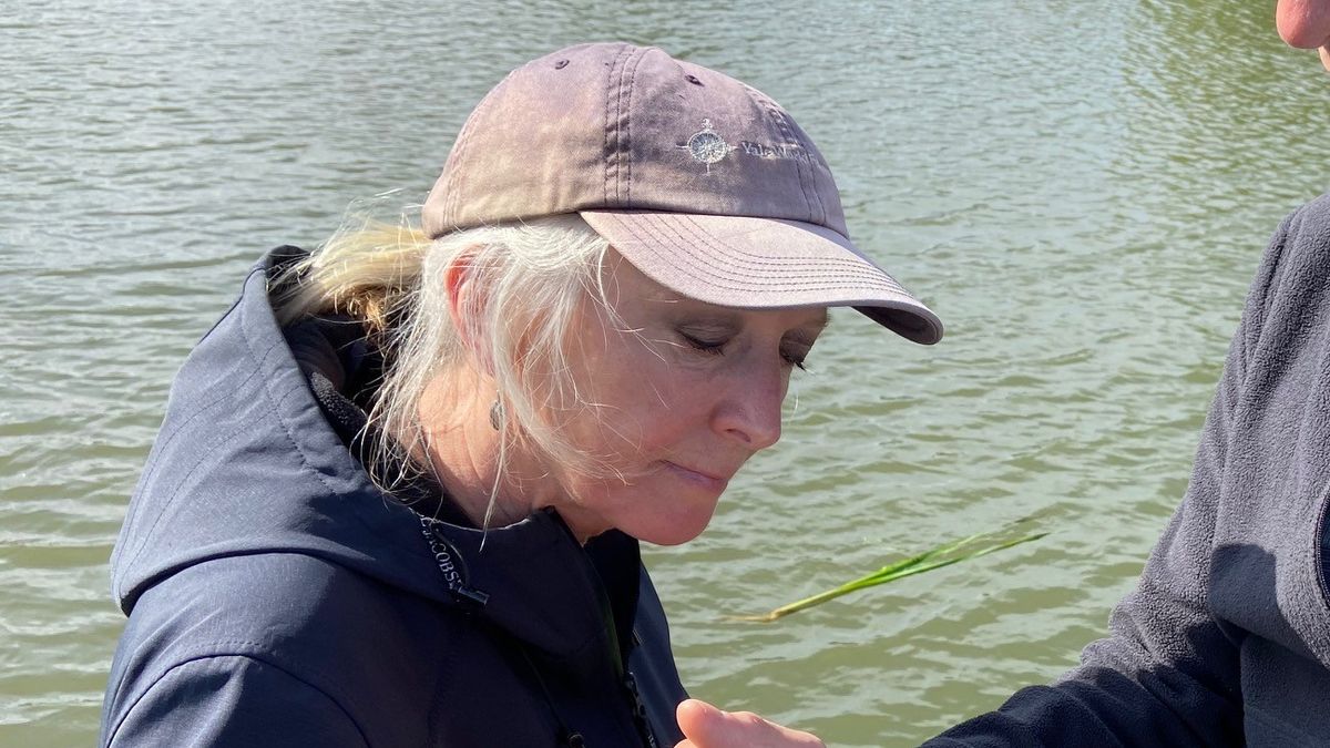 Roz Rivers South Cotswolds MP urges action on sewage pollution and calls for ...