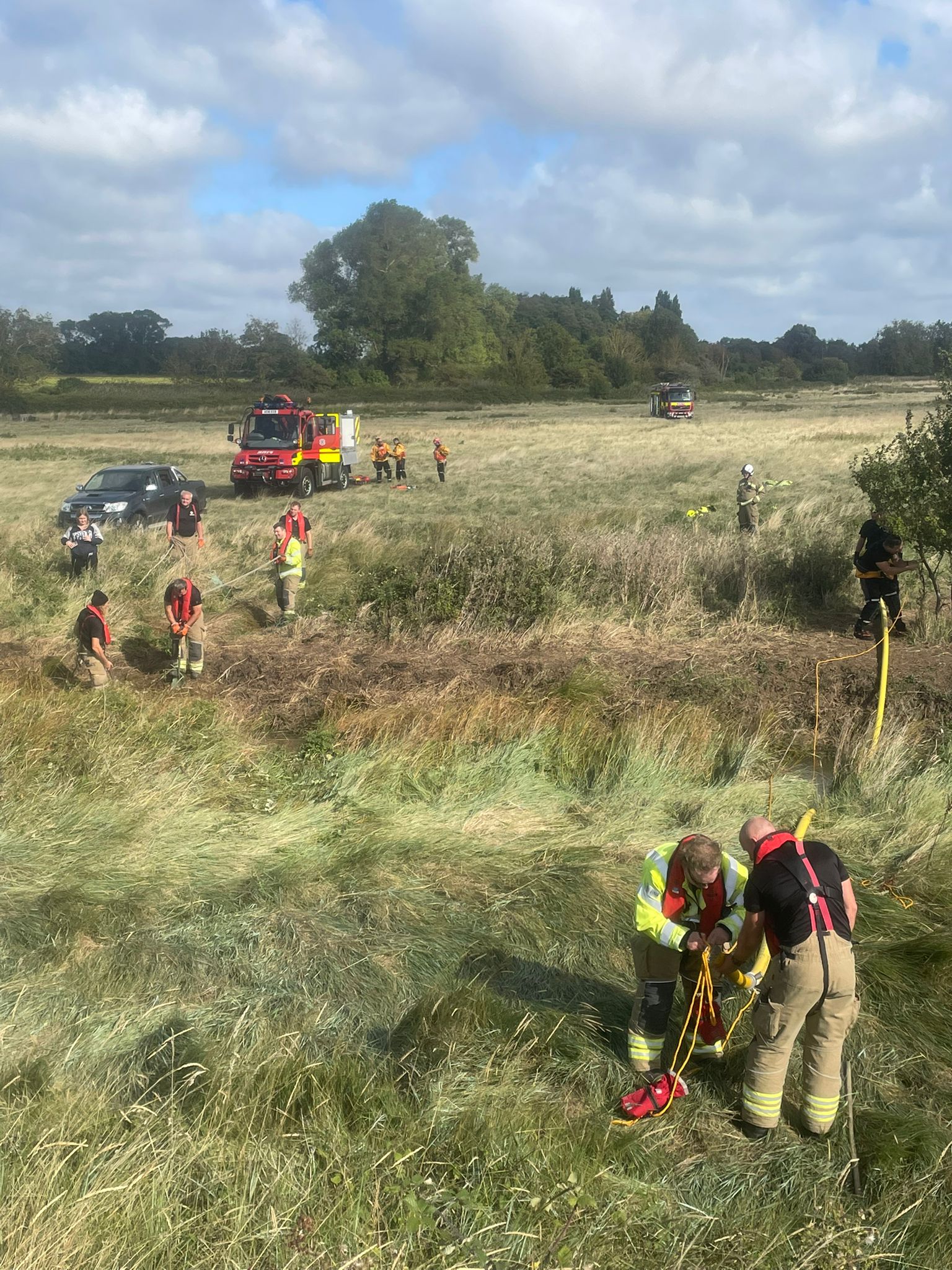 Cow rescue mission in Suffolk a success | News - Greatest Hits Radio ...