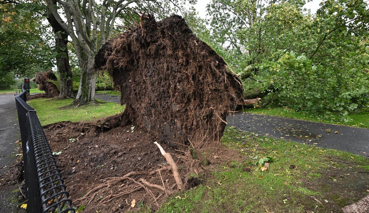 Homes are still without power in Northern Ireland after Storm Amy