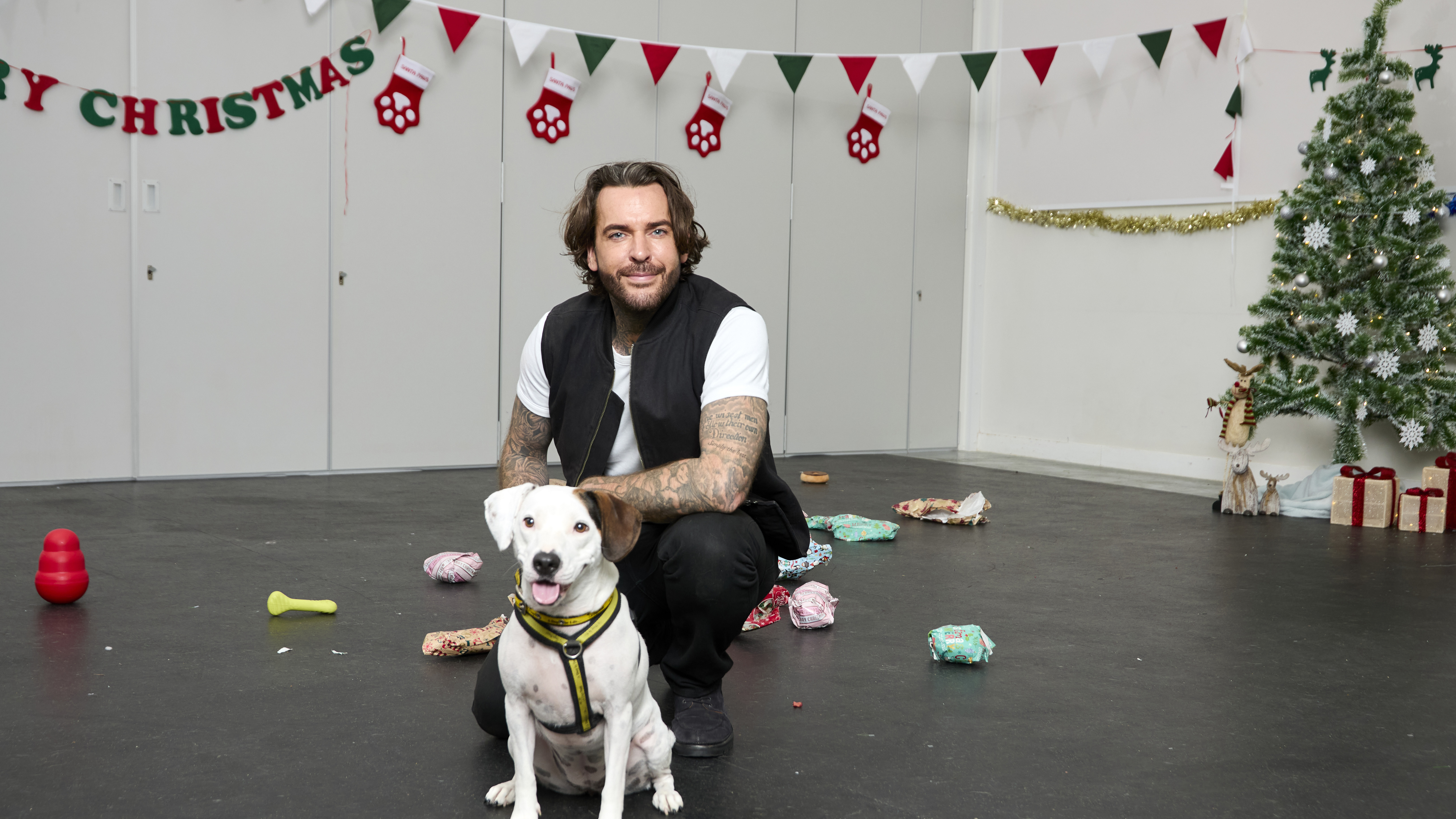 Pete Wicks: For Dogs' Sake Christmas special