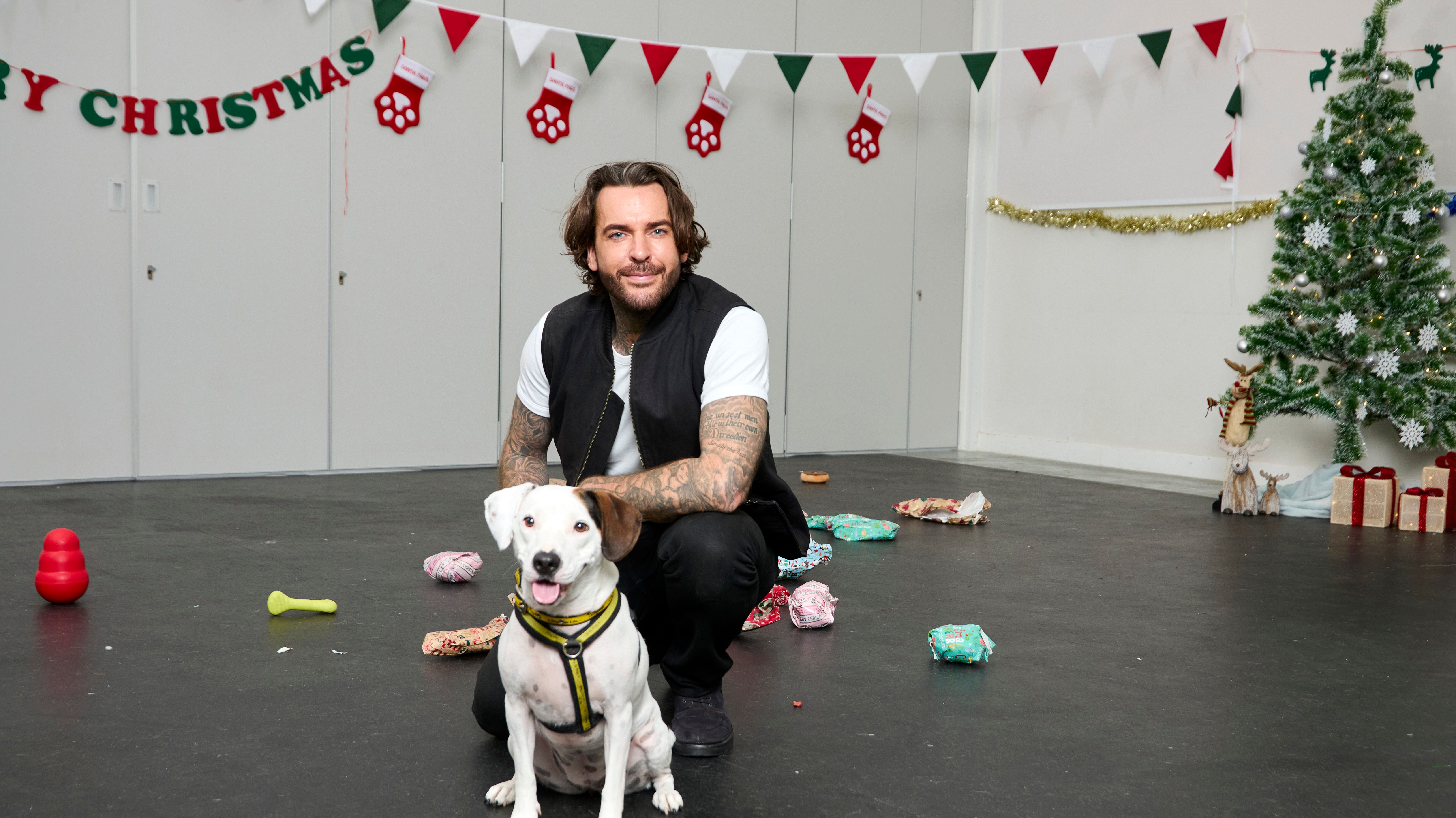 Pete Wicks: For Dogs' Sake Christmas special