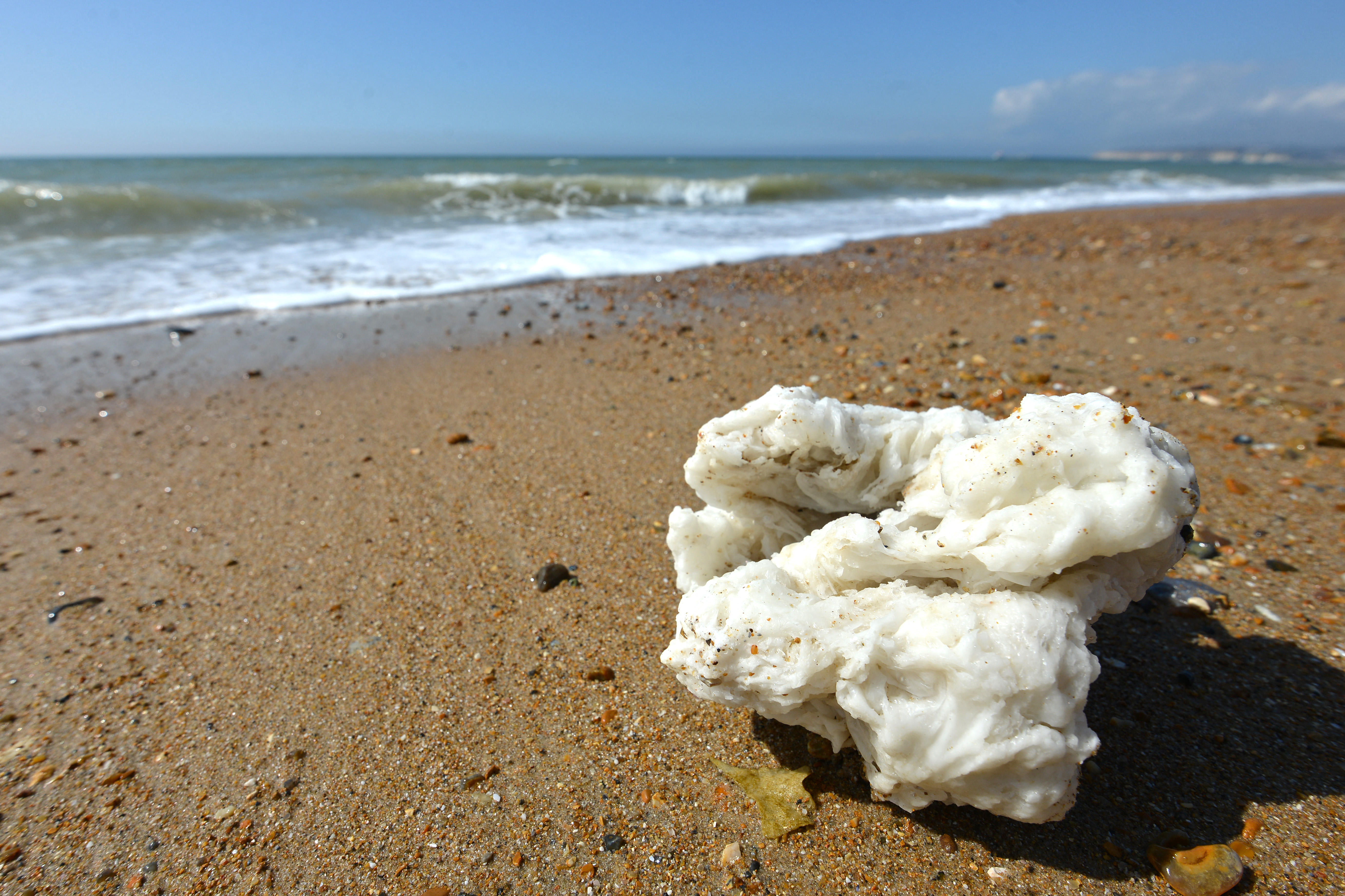Dog walkers warned after reports of palm oil on Dumfries and Galloway beaches