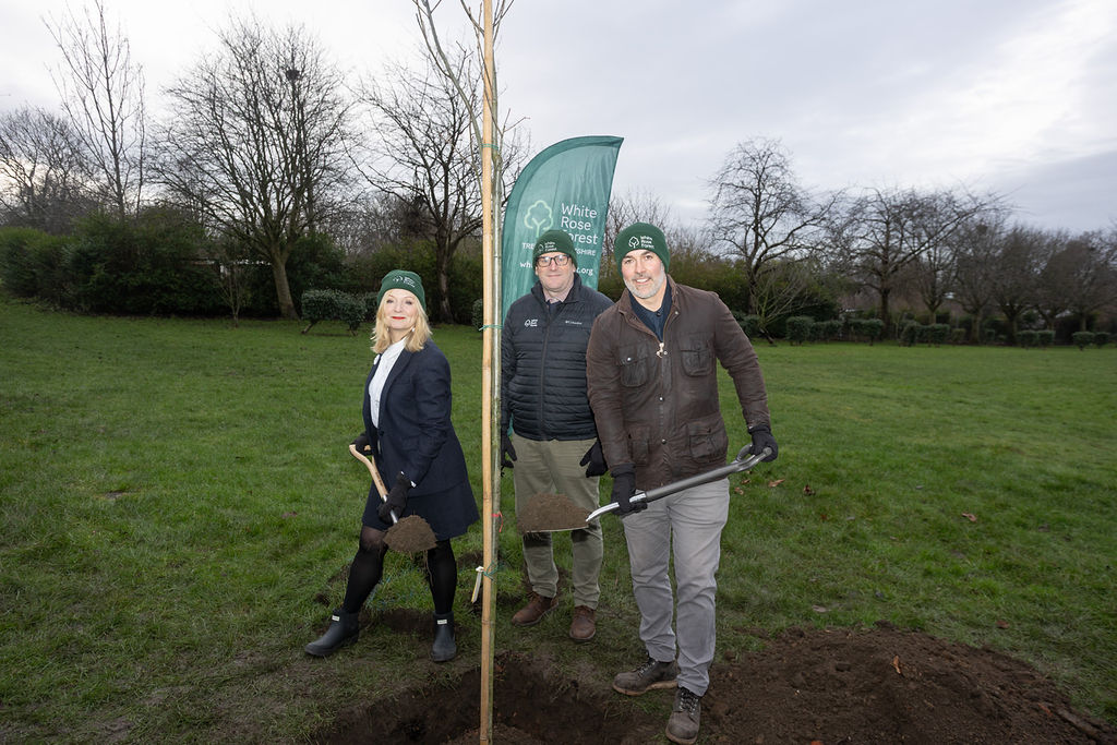 Plan to plant 134 million trees launched in North and West Yorkshire ...