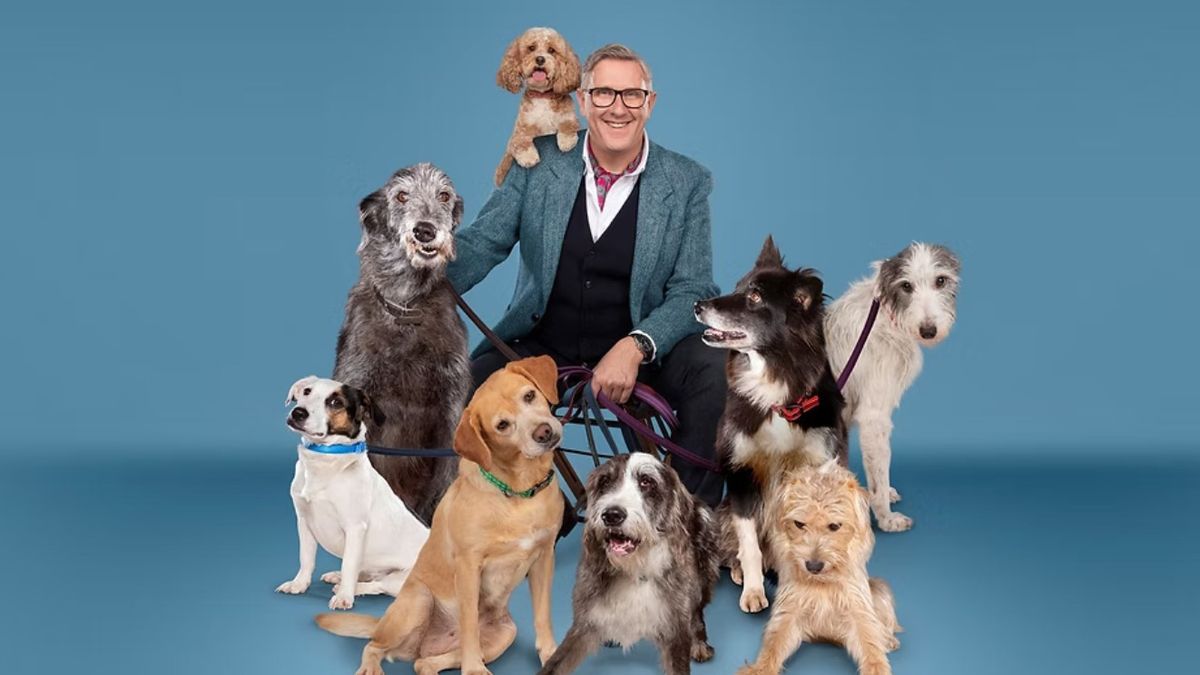 How do I apply to go on Dogs Behaving (Very) Badly