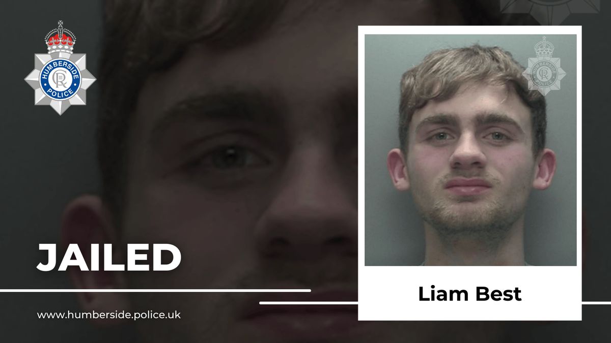 Hull acid attacker jailed