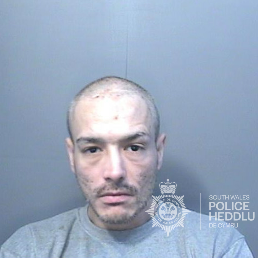 Man from Swansea sentenced to life in prison for brother's murder ...