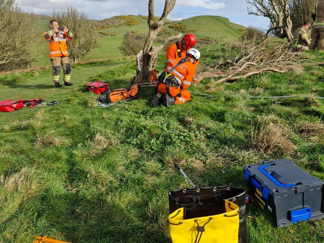 Fire crews rescue dog after fall from cliff at Seatown