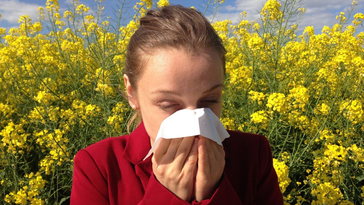 Hay fever symptoms extended by two weeks due to climate change