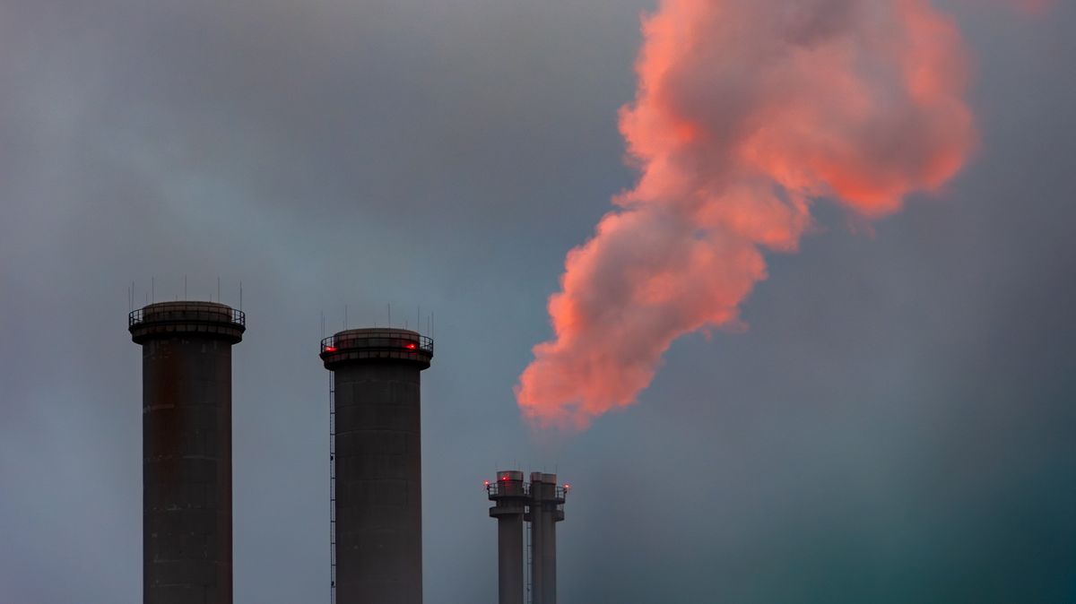 Energy bosses’ bonuses to be banned under reforms