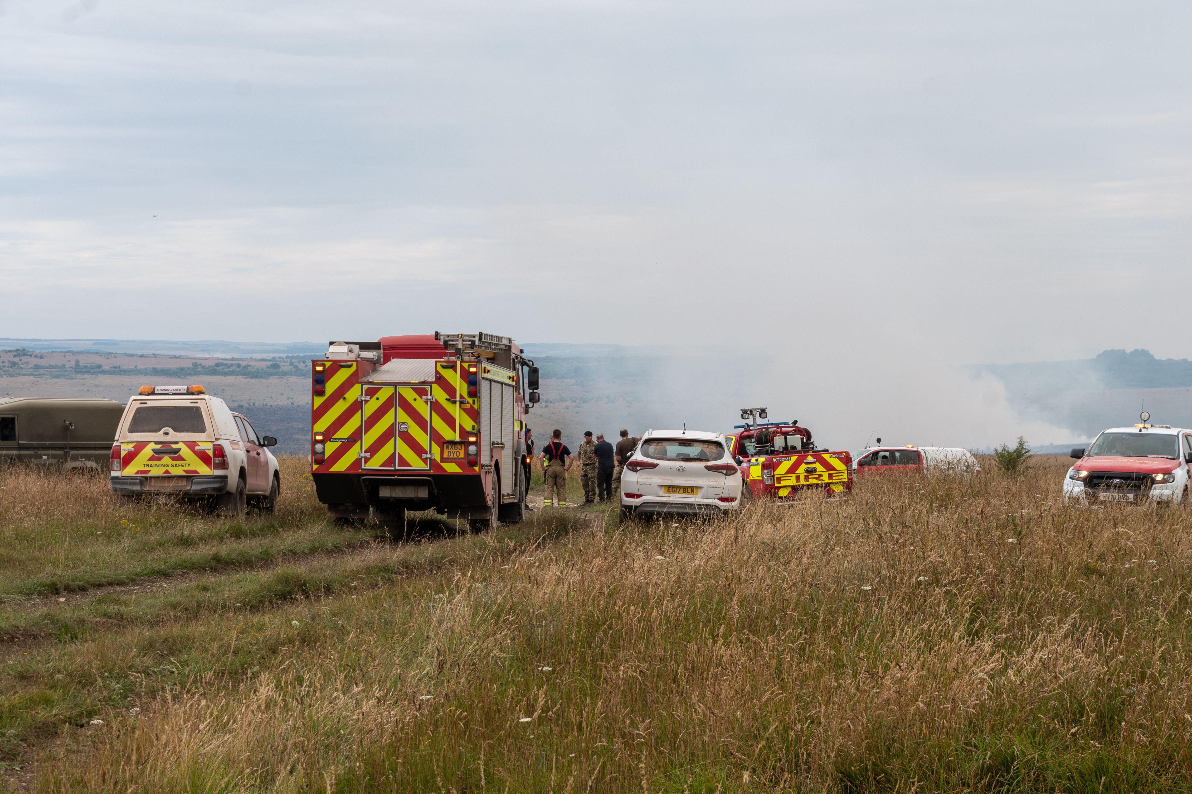 Dorset and Wiltshire Fire Service issues wildfire warning