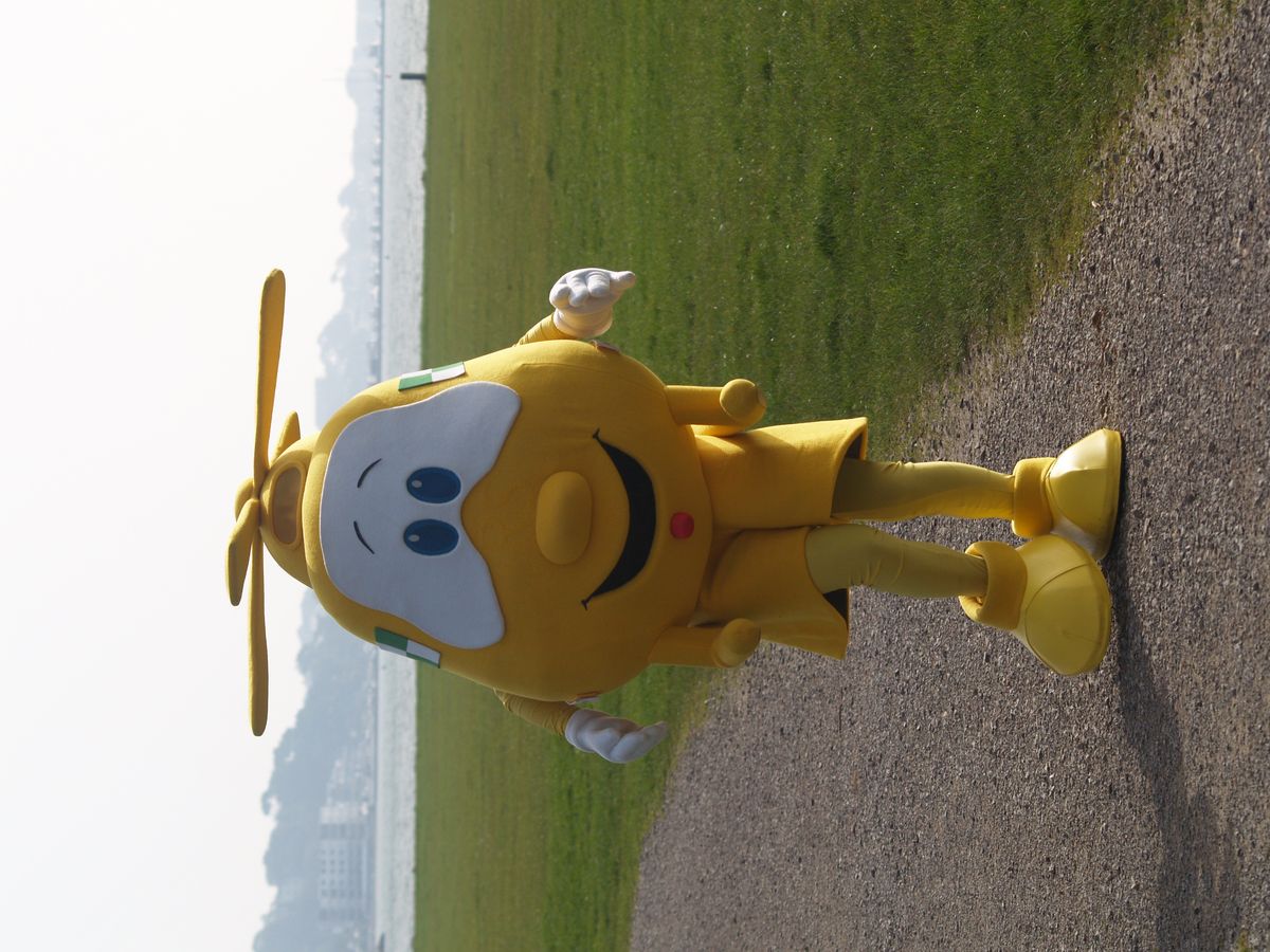 dorset-somerset-seaside-scramble-air-ambulance-support