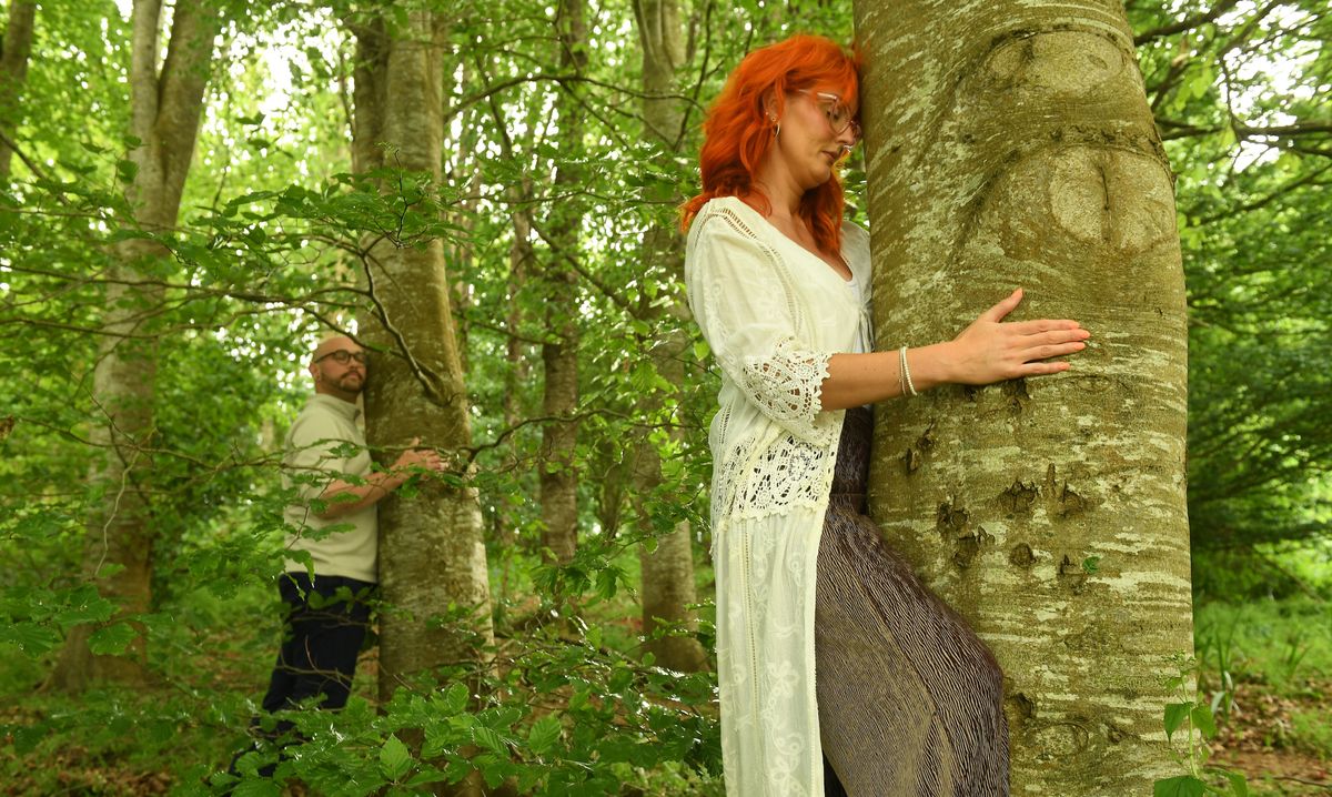 Discover the Joy of Tree Hugging at the Devon County Show!